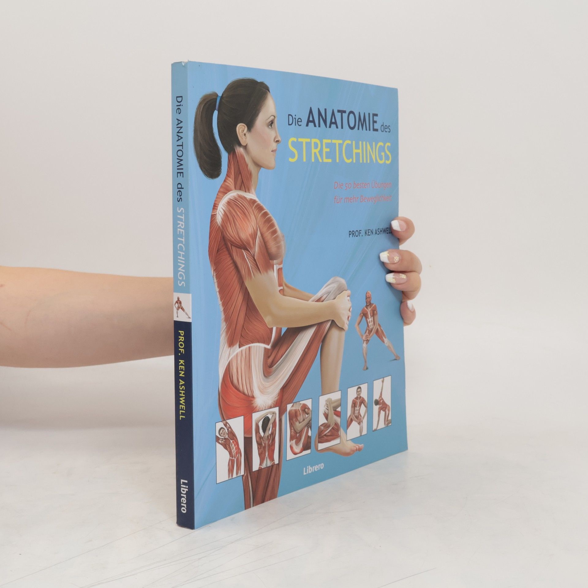 Ken Ashwell Das Anatomie des Stretchings