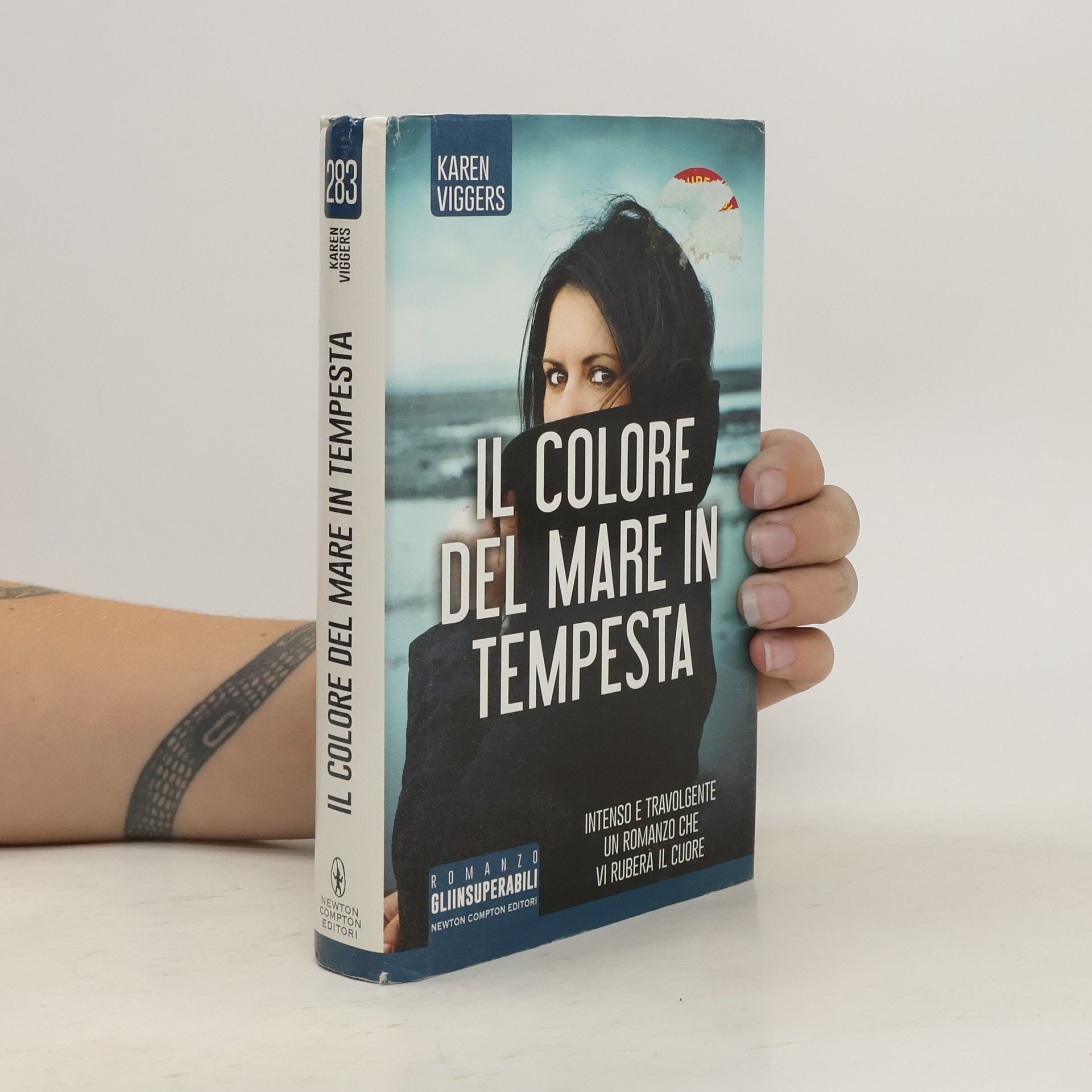 Karen Viggers Il colore del mare in tempesta