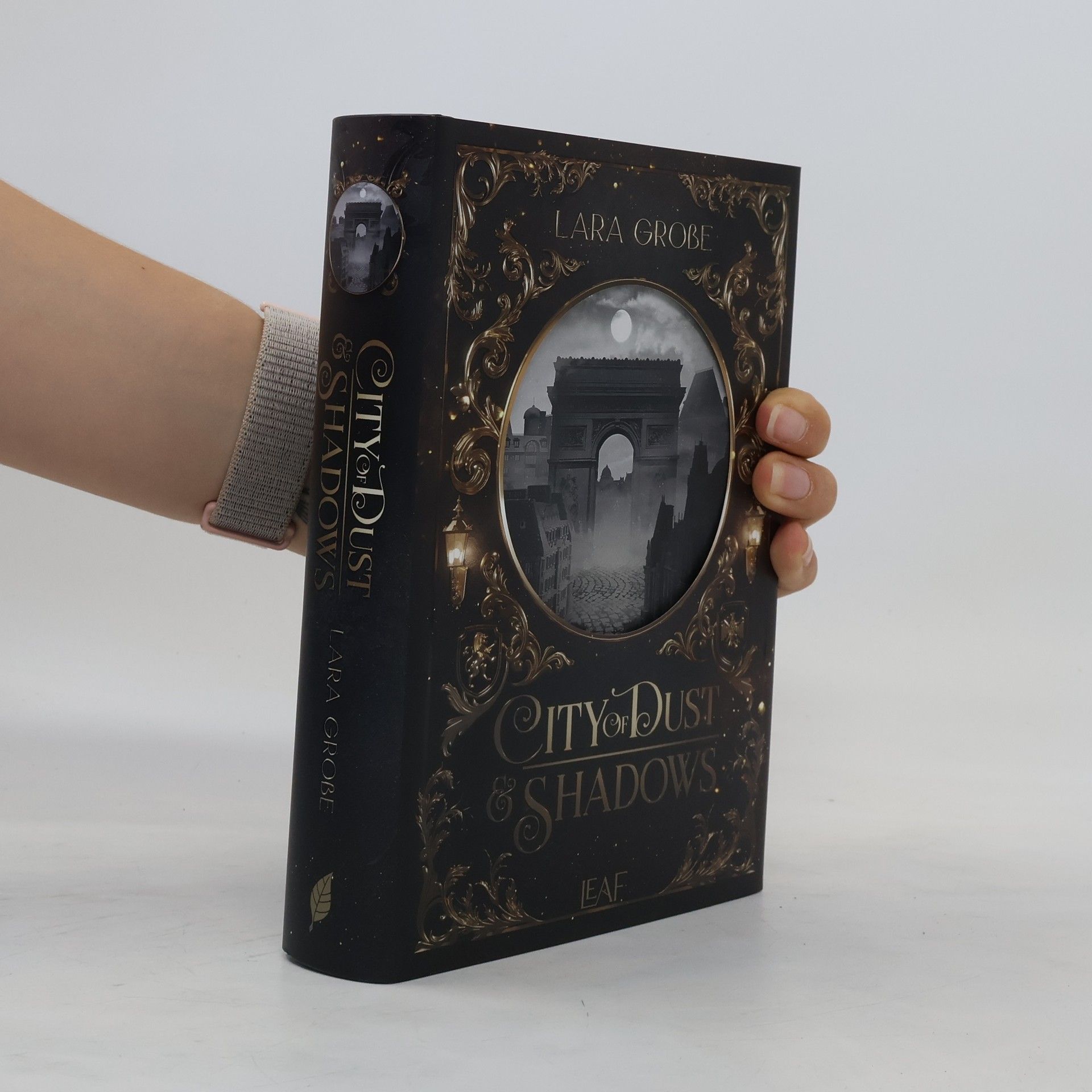 Lara Große City of Dust and Shadows