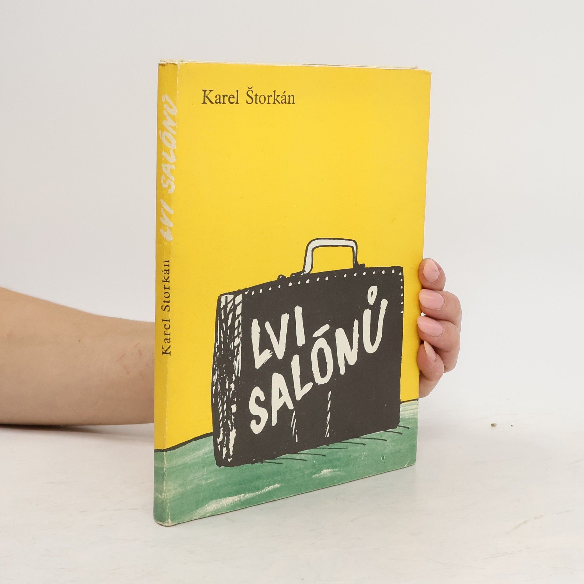 Karel Štorkán Lvi salónů