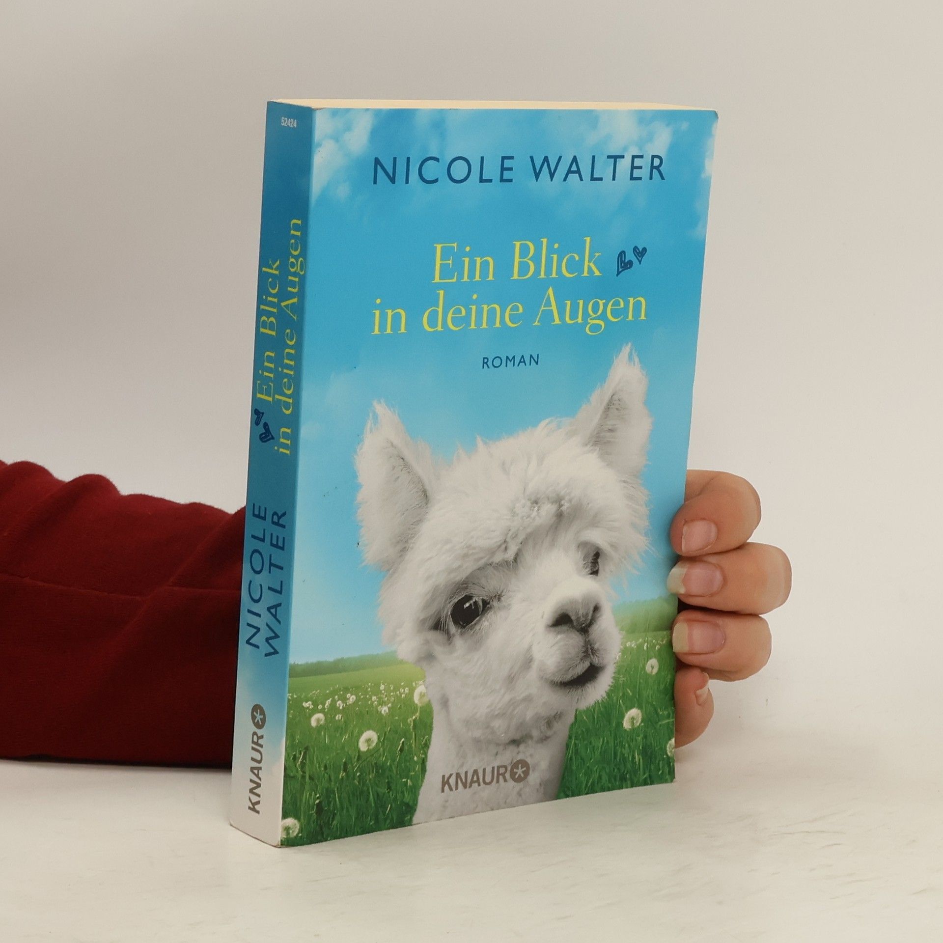 Nicole Walter Ein Blick in deine Augen