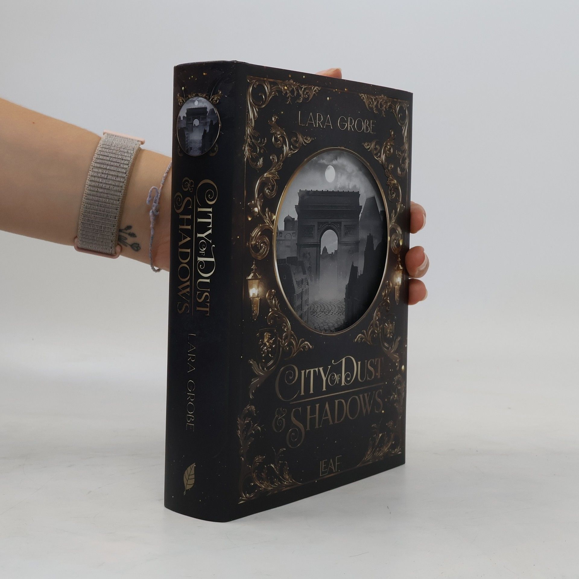 Lara Große City of Dust and Shadows