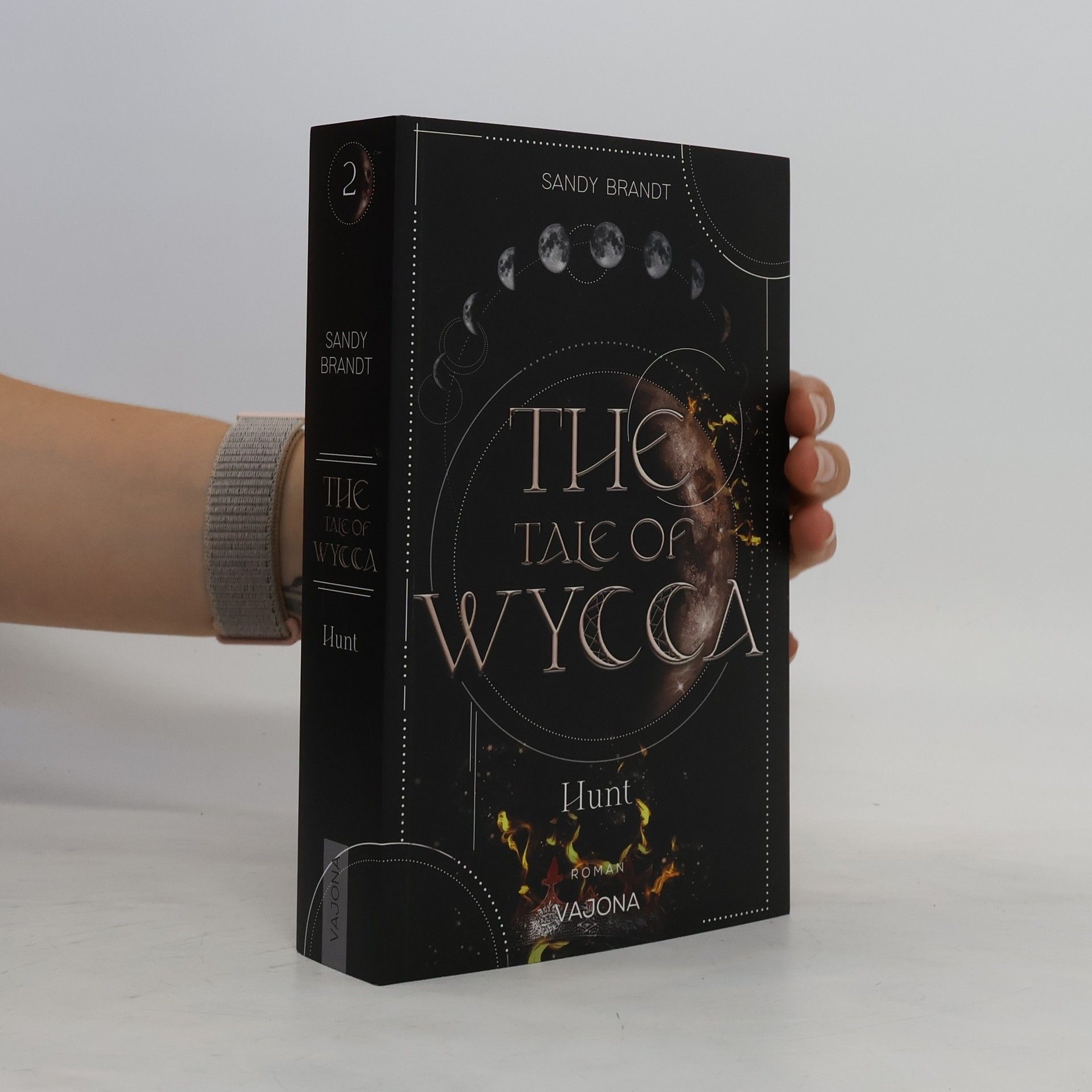 Sandy Brandt The Tale of Wycca 2
