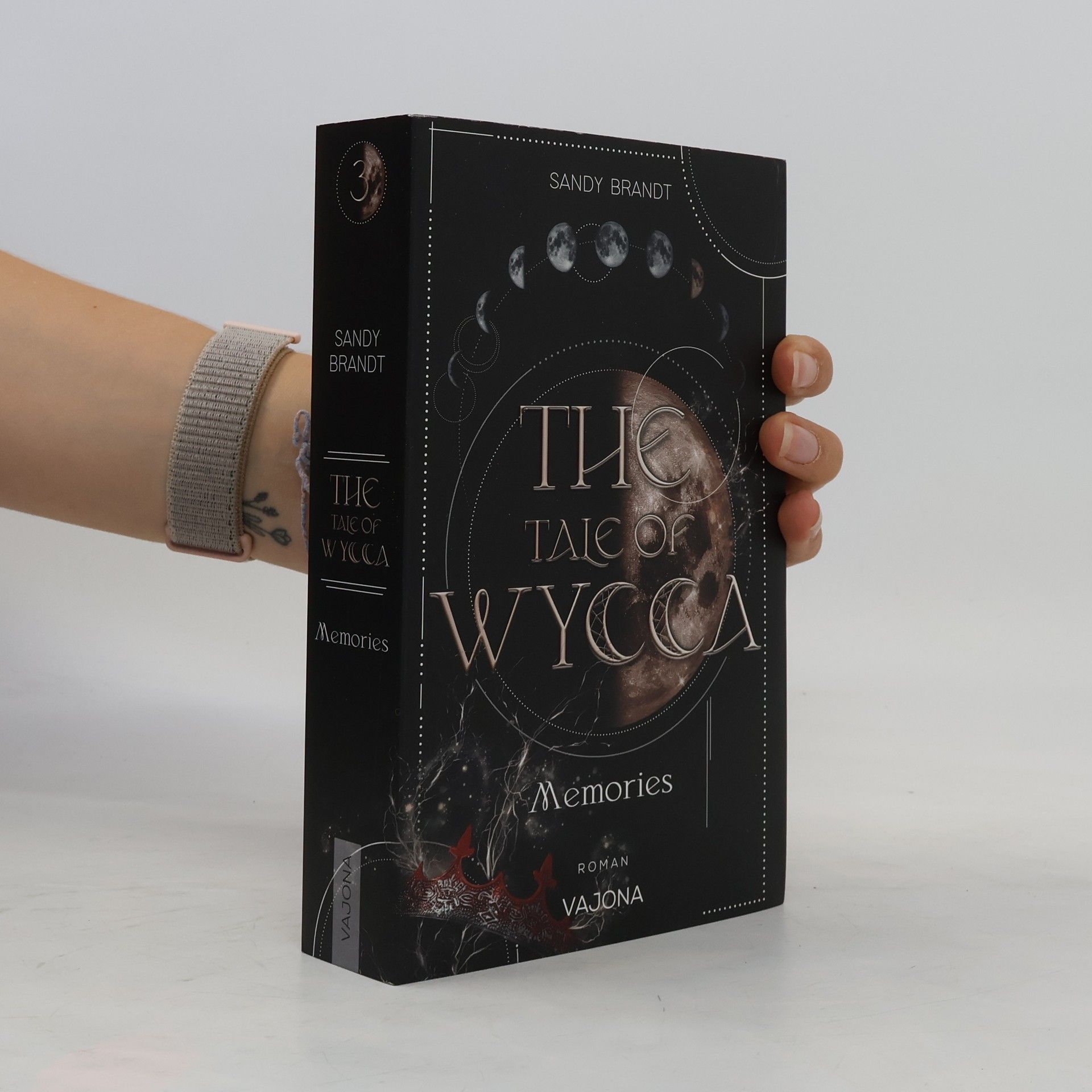 Sandy Brandt The Tale of Wycca 3