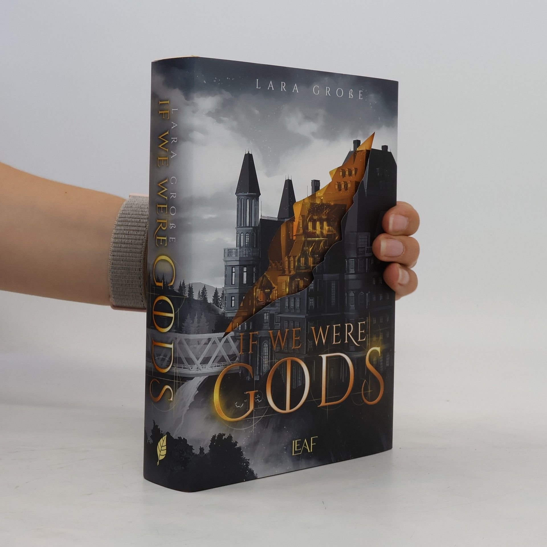 Lara Große If We Were Gods