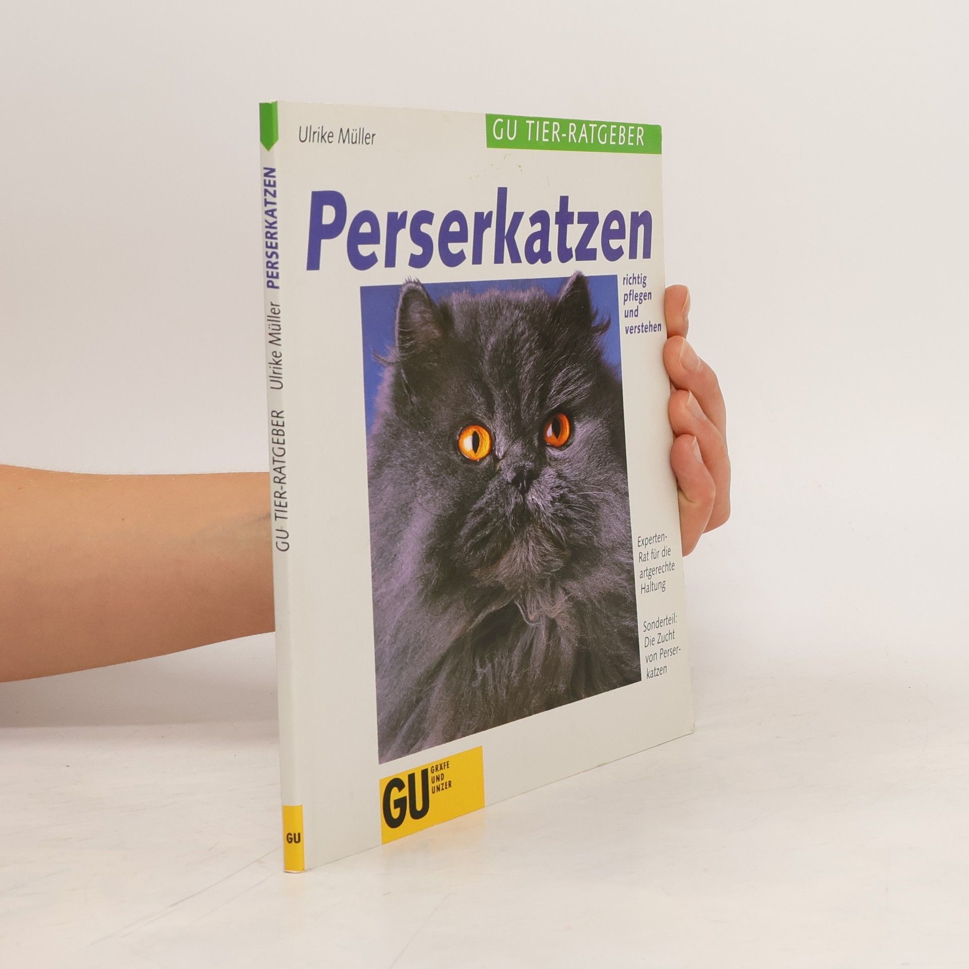 Ulrike Müller Perserkatzen