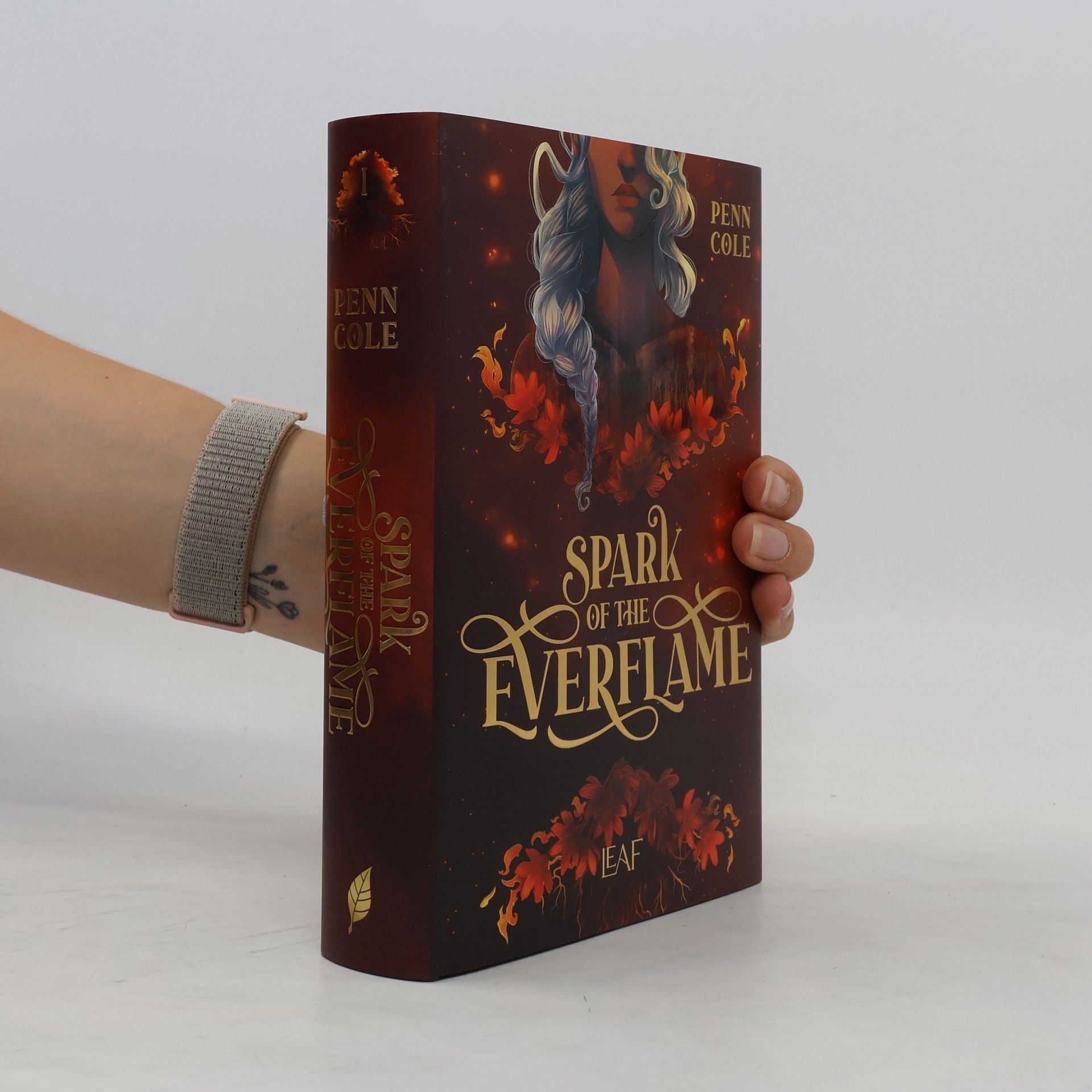 Penn Cole Spark of the Everflame / Kindred´s Curse Saga Bd.1