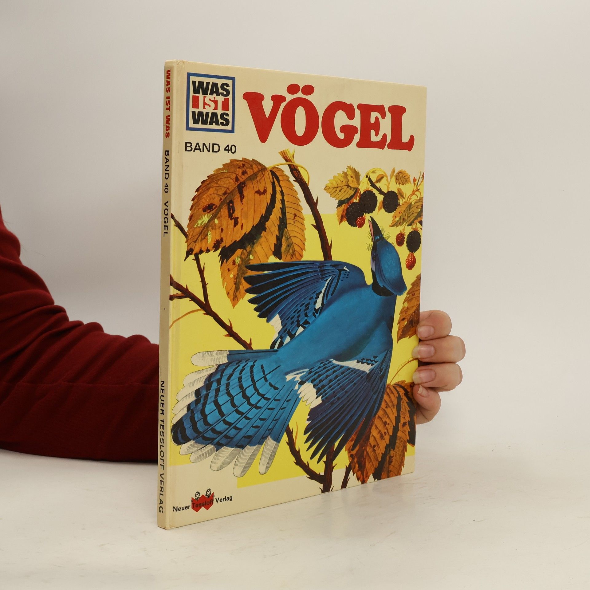 Heinrich Hoerschelmann Vögel