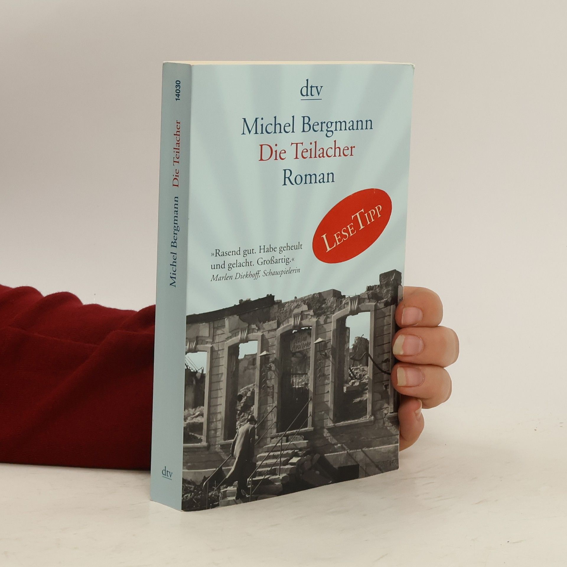 Michel Bergmann Die Teilacher
