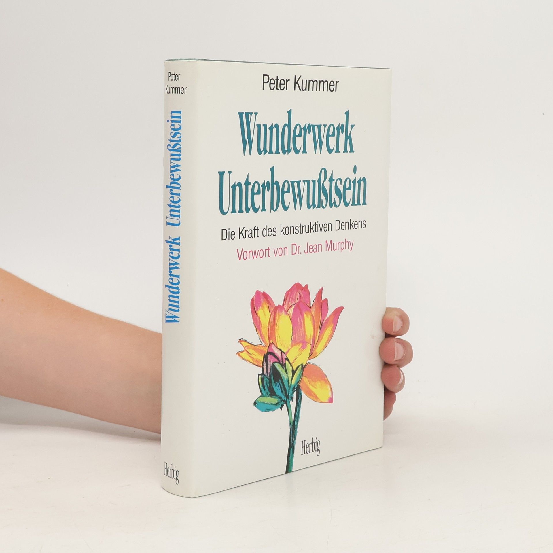 Peter Kummer Wunderwerk Unterbewusstsein