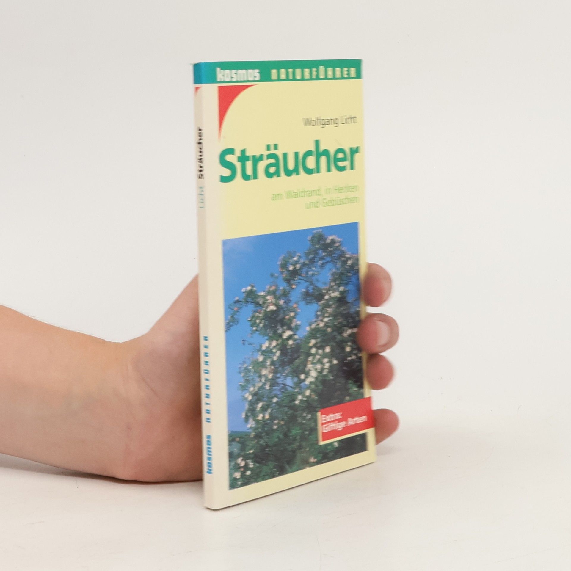 Wolfgang Licht Sträucher