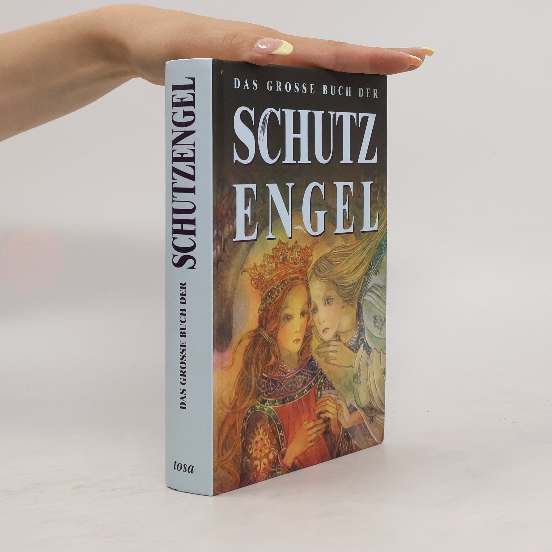 Peter Michel Das große Buch der Schutzengel