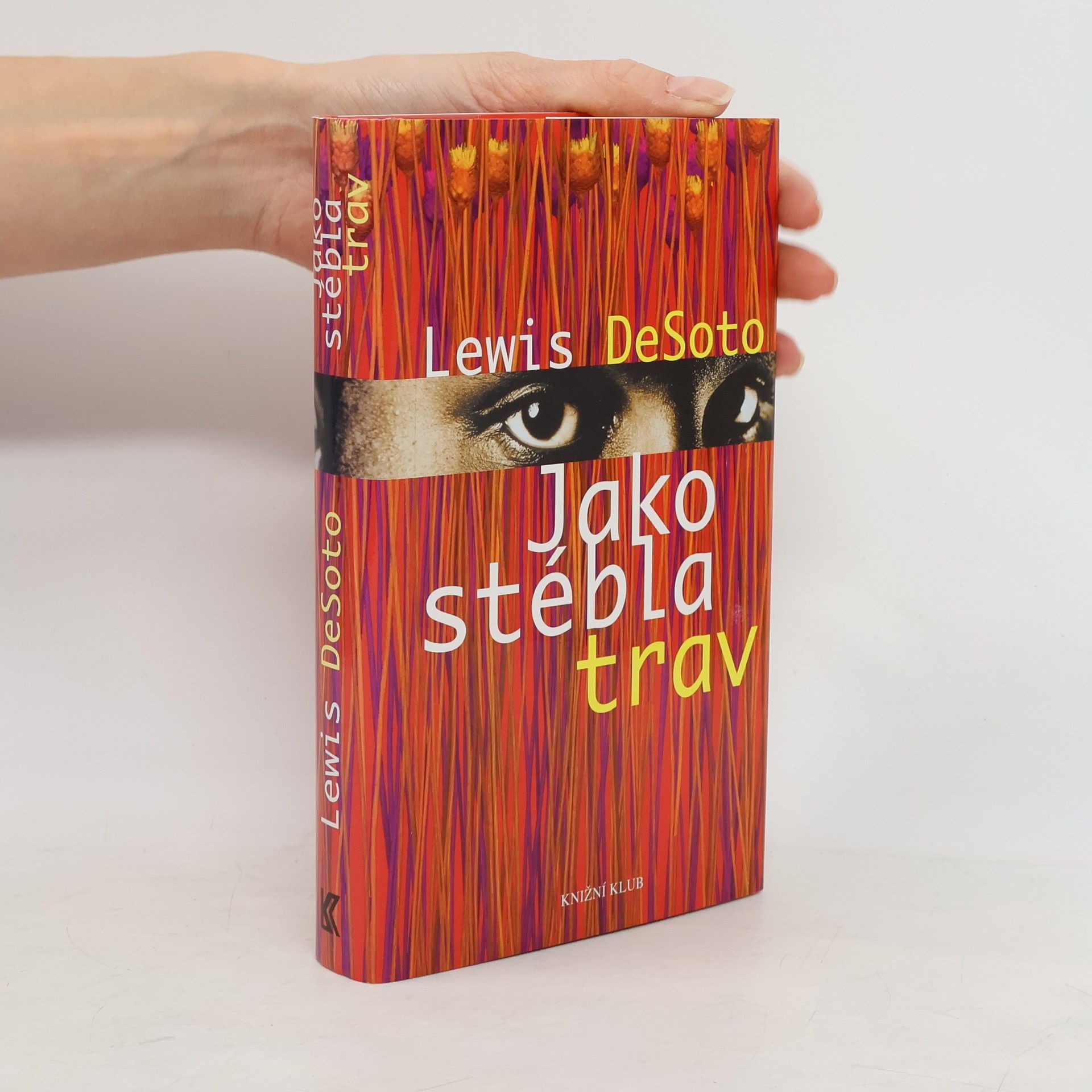 Lewis DeSoto Jako stébla trav
