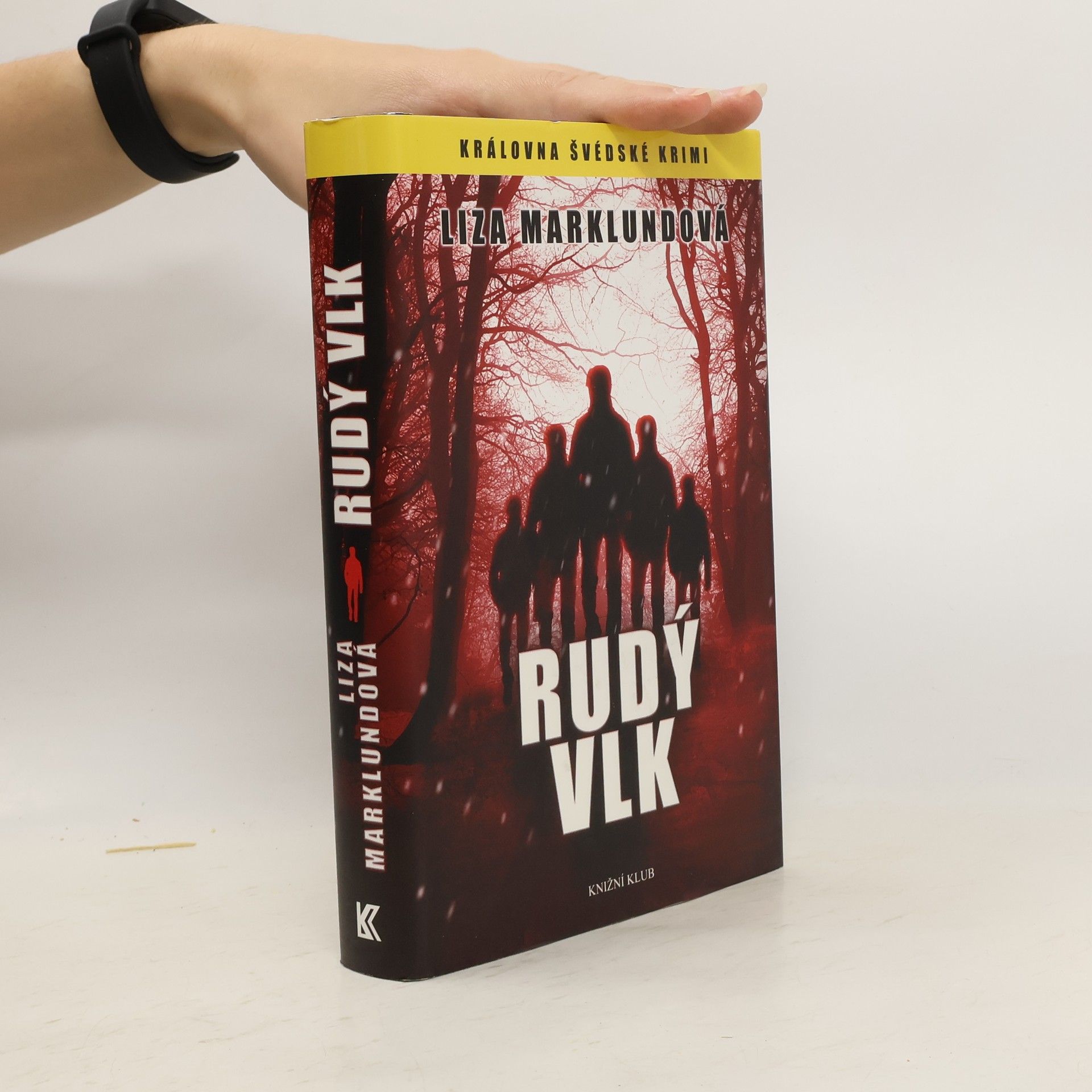 Liza Marklund Rudý vlk