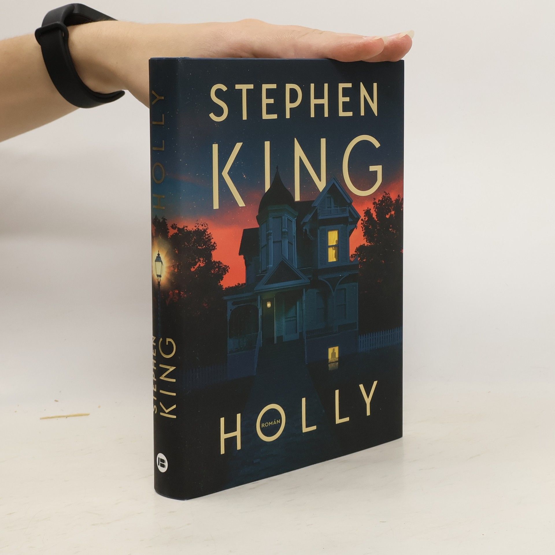 Stephen King Holly