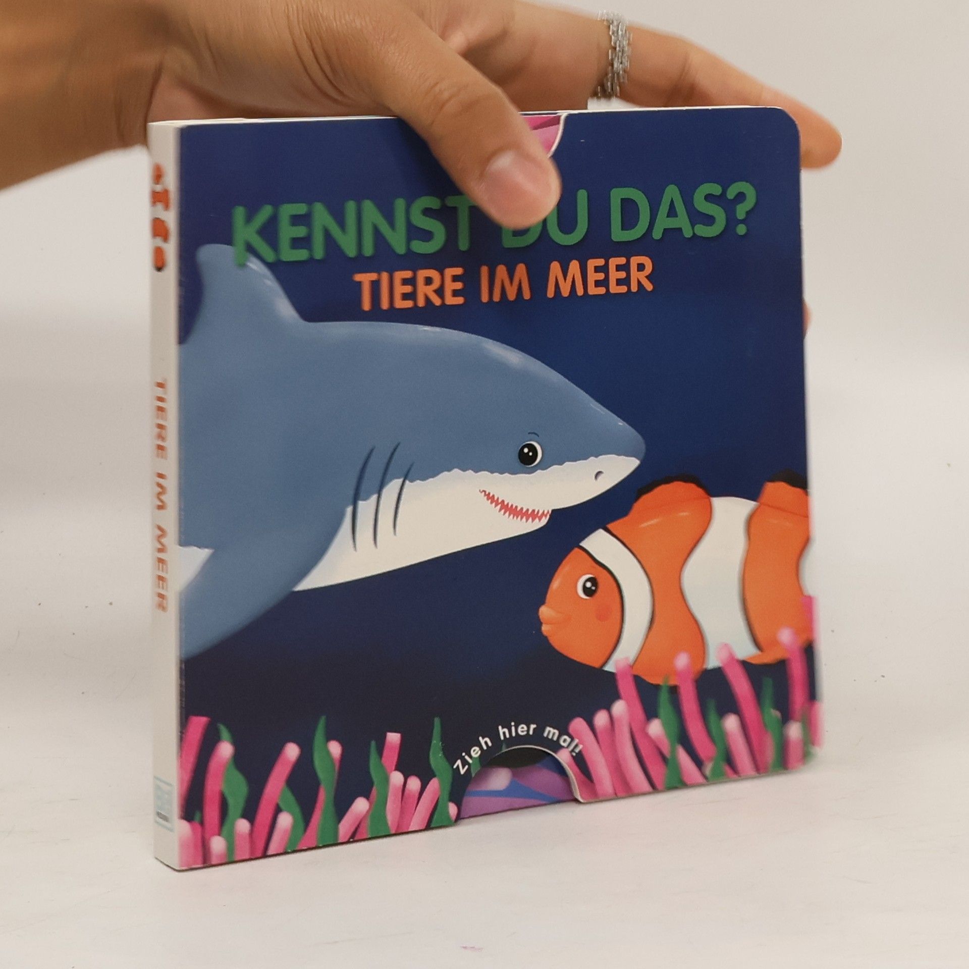 Autorenkollektiv Kennst du das? Tiere im Meer