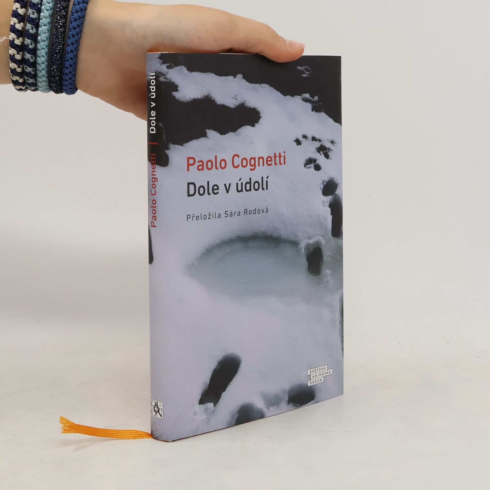 Paolo Cognetti Dole v údolí