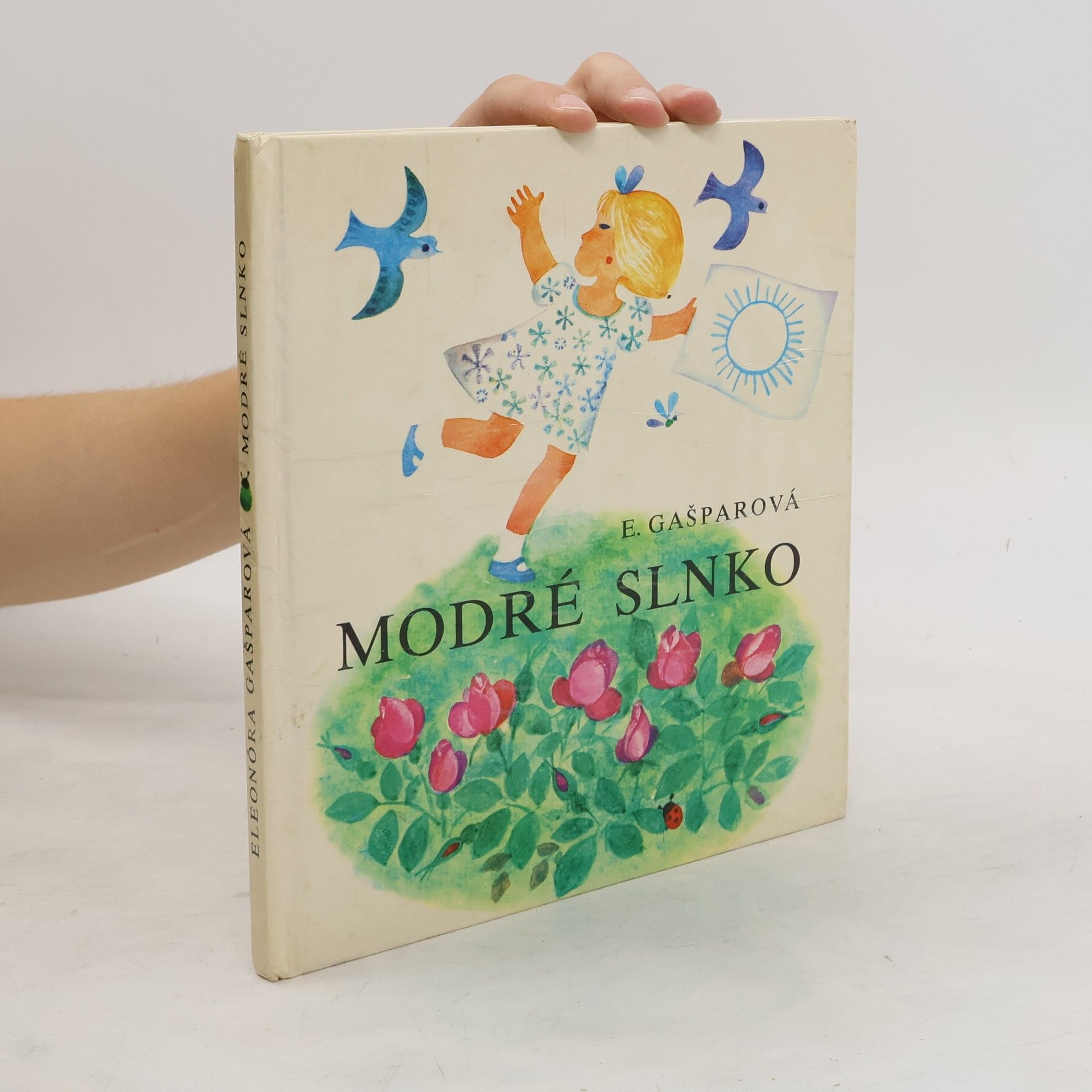 Eleonóra Gašparová Modré slnko