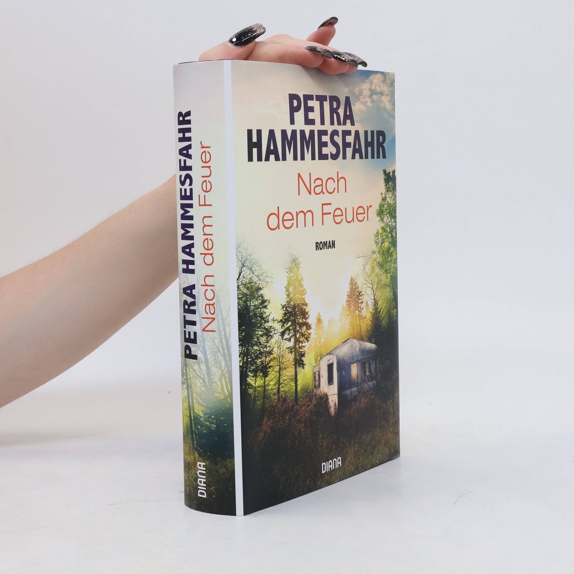 Petra Hammesfahr Nach dem Feuer