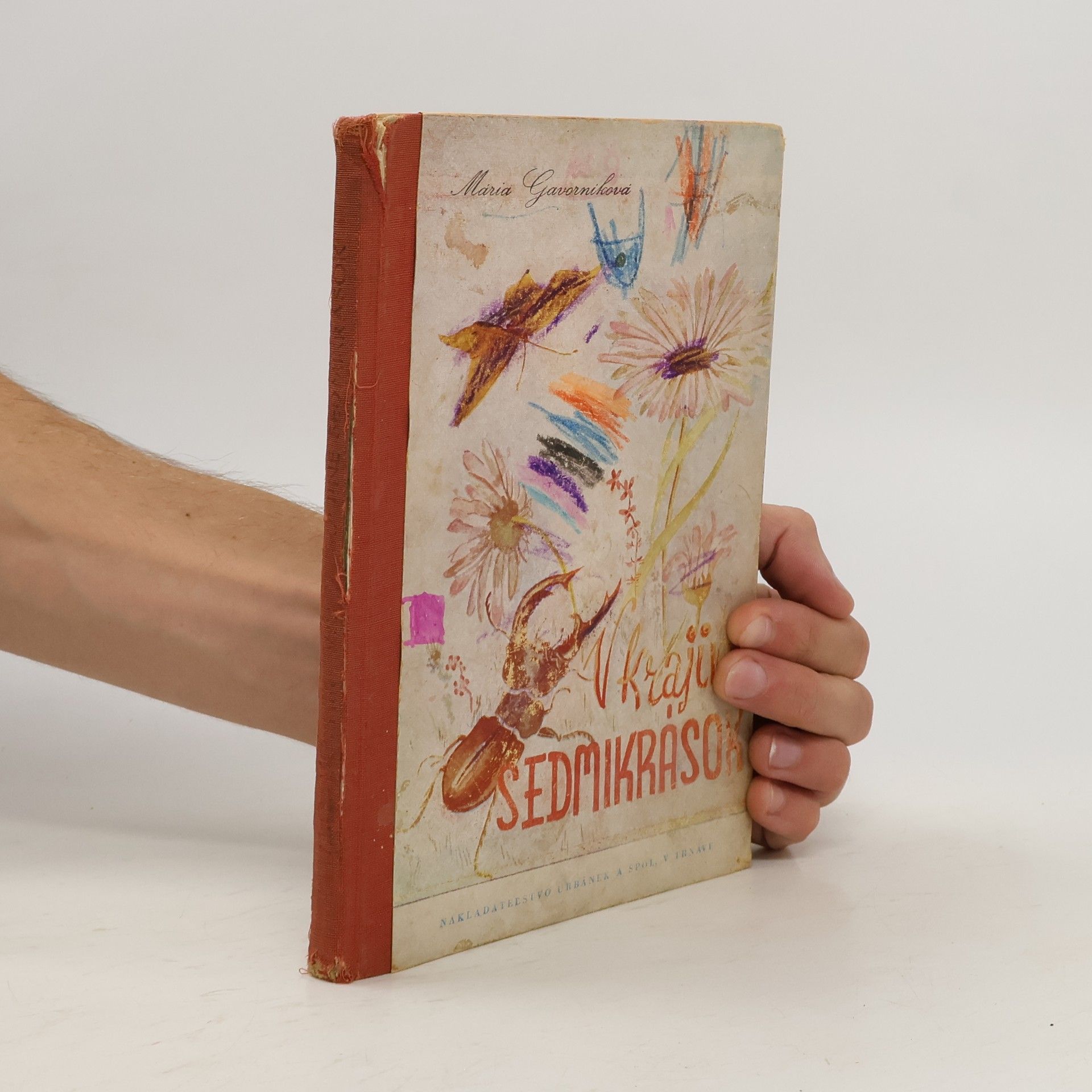 Mária Gavorníková V krajine sedmikrások