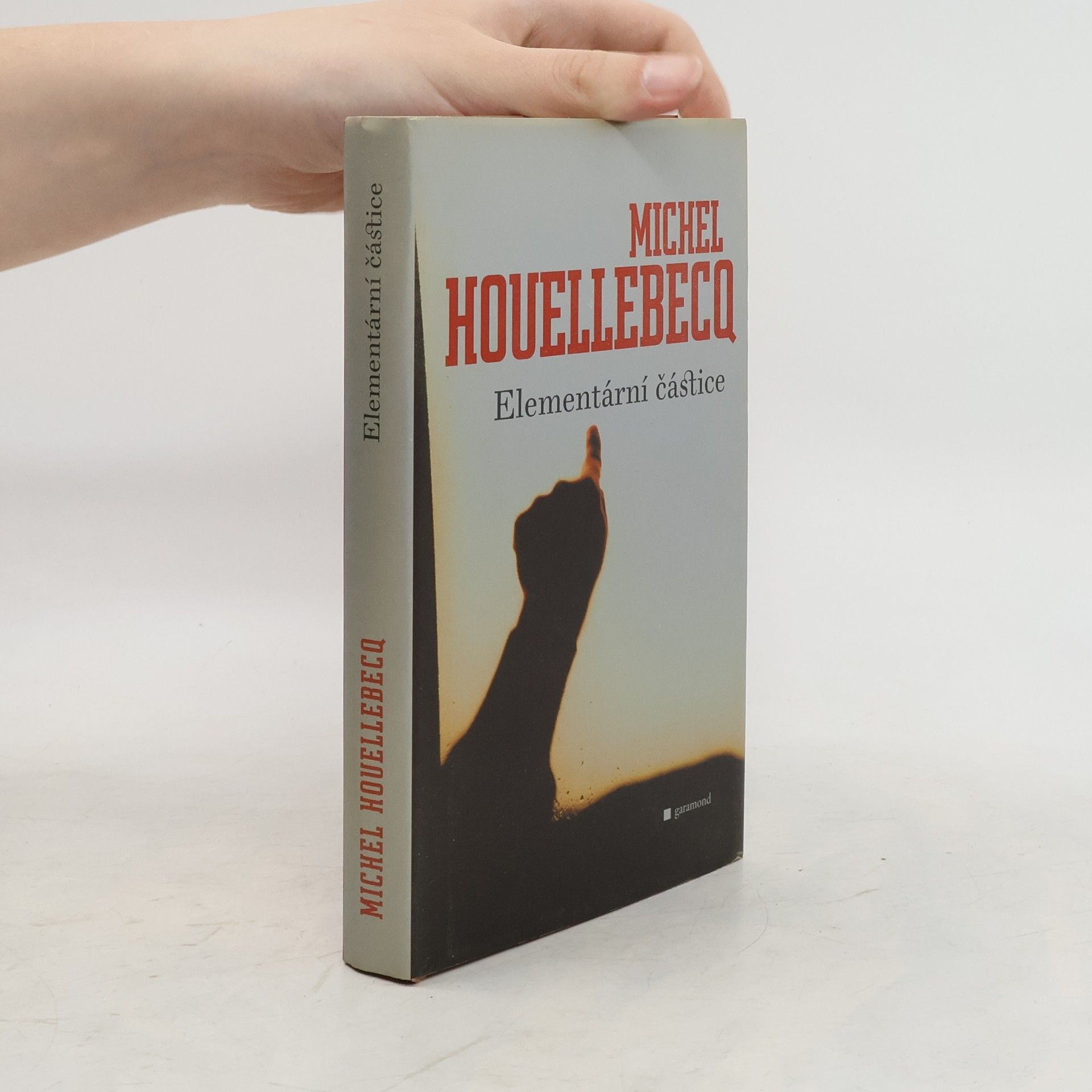 Michel Houellebecq Elementární částice