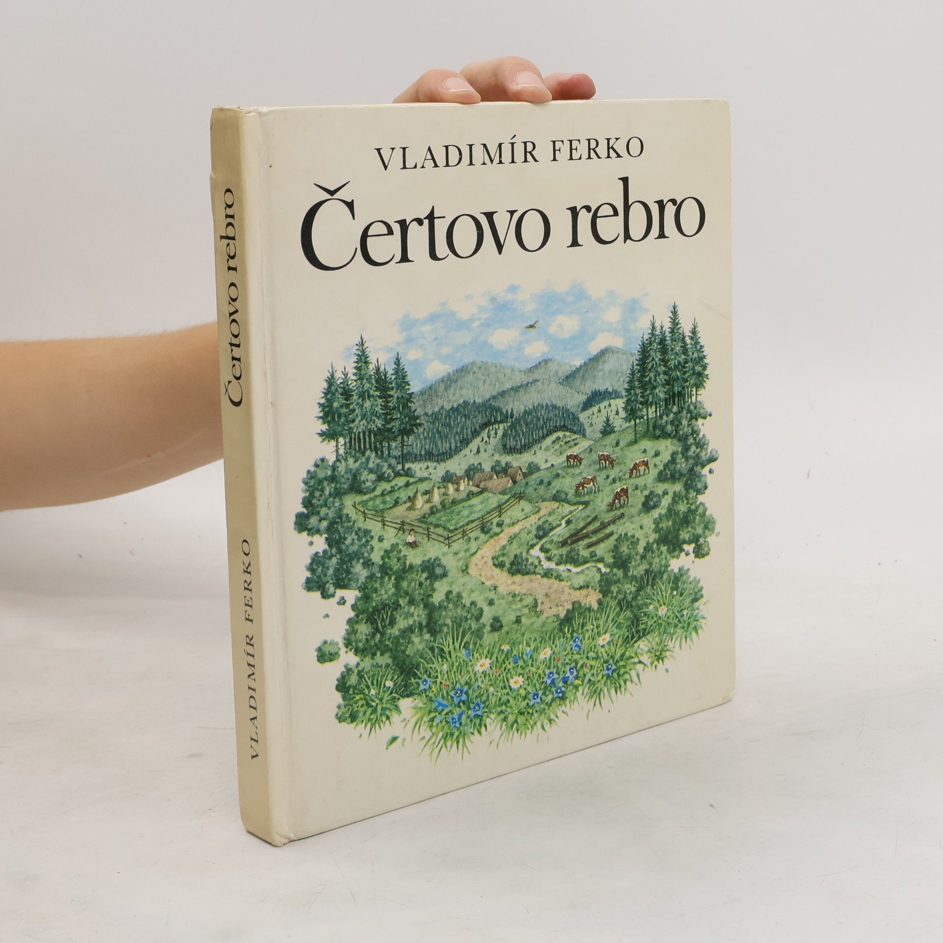 Vladimír Ferko Čertovo rebro