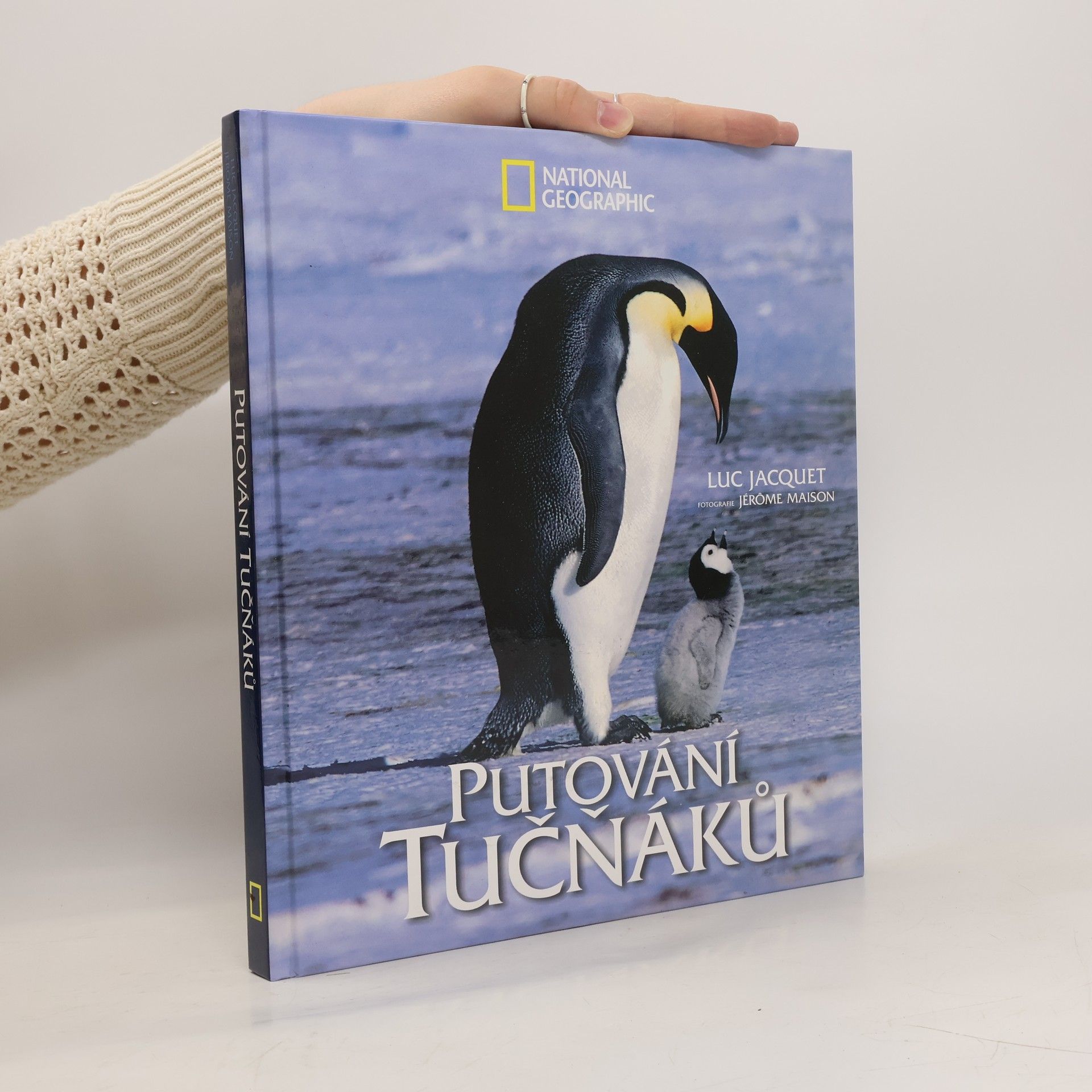 Collective Putování tučňáků