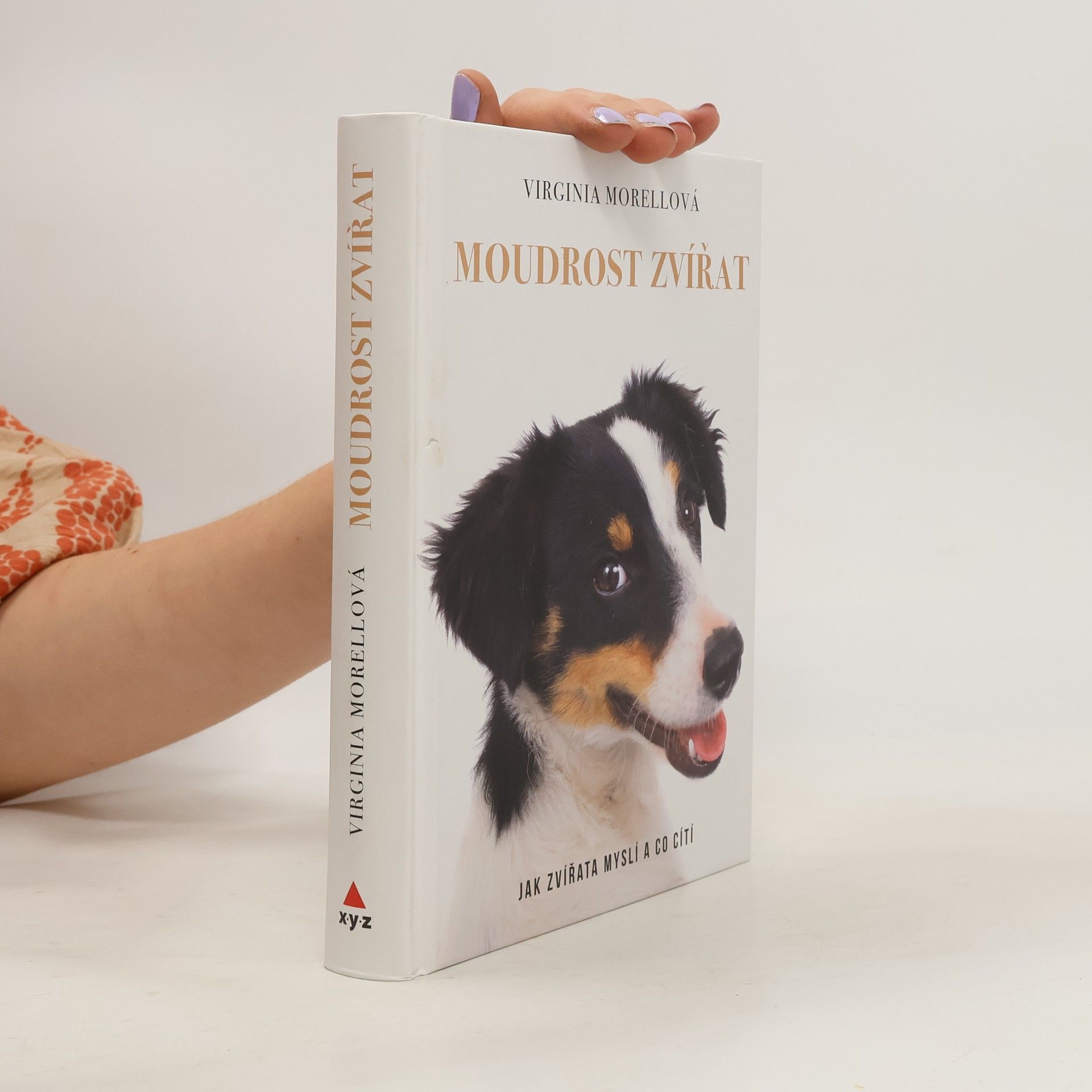 Moudrost zvířat - Jak zvířata myslí a co cítí