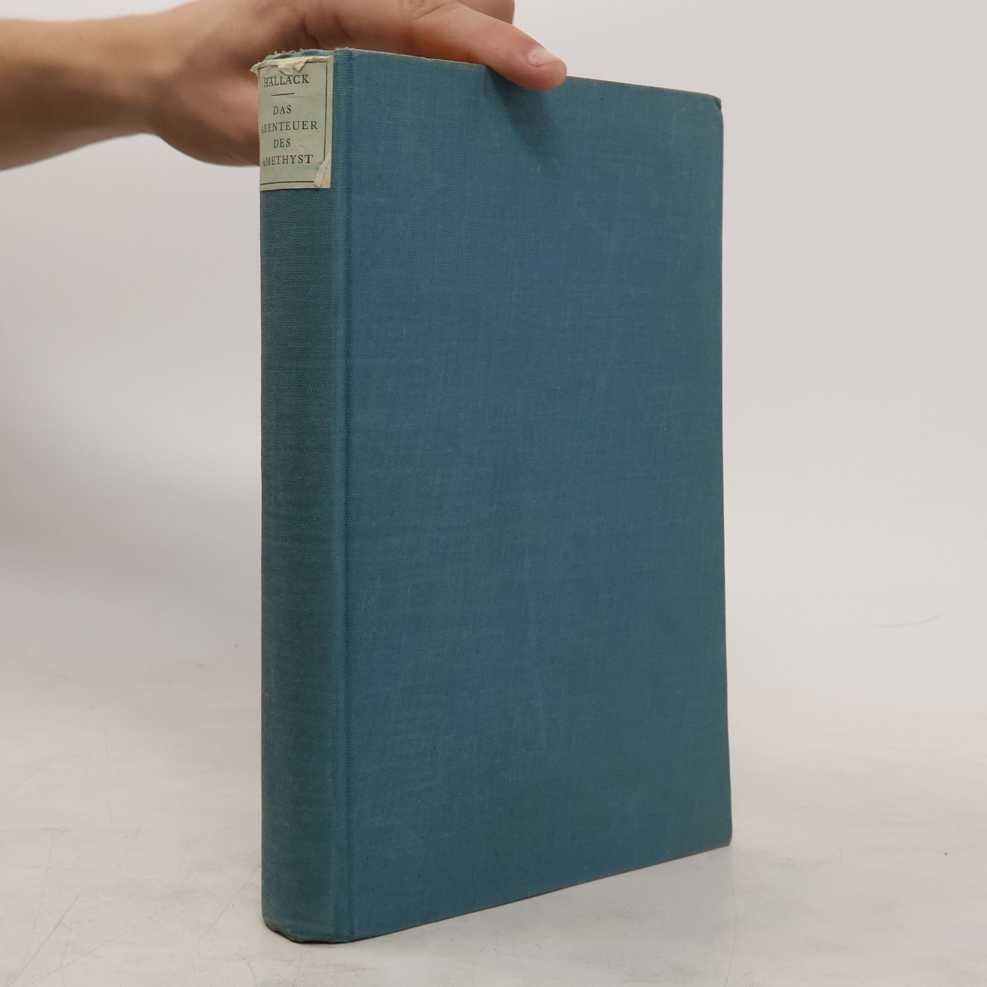 Cecily Hallack Das Abenteuer des Amethyst