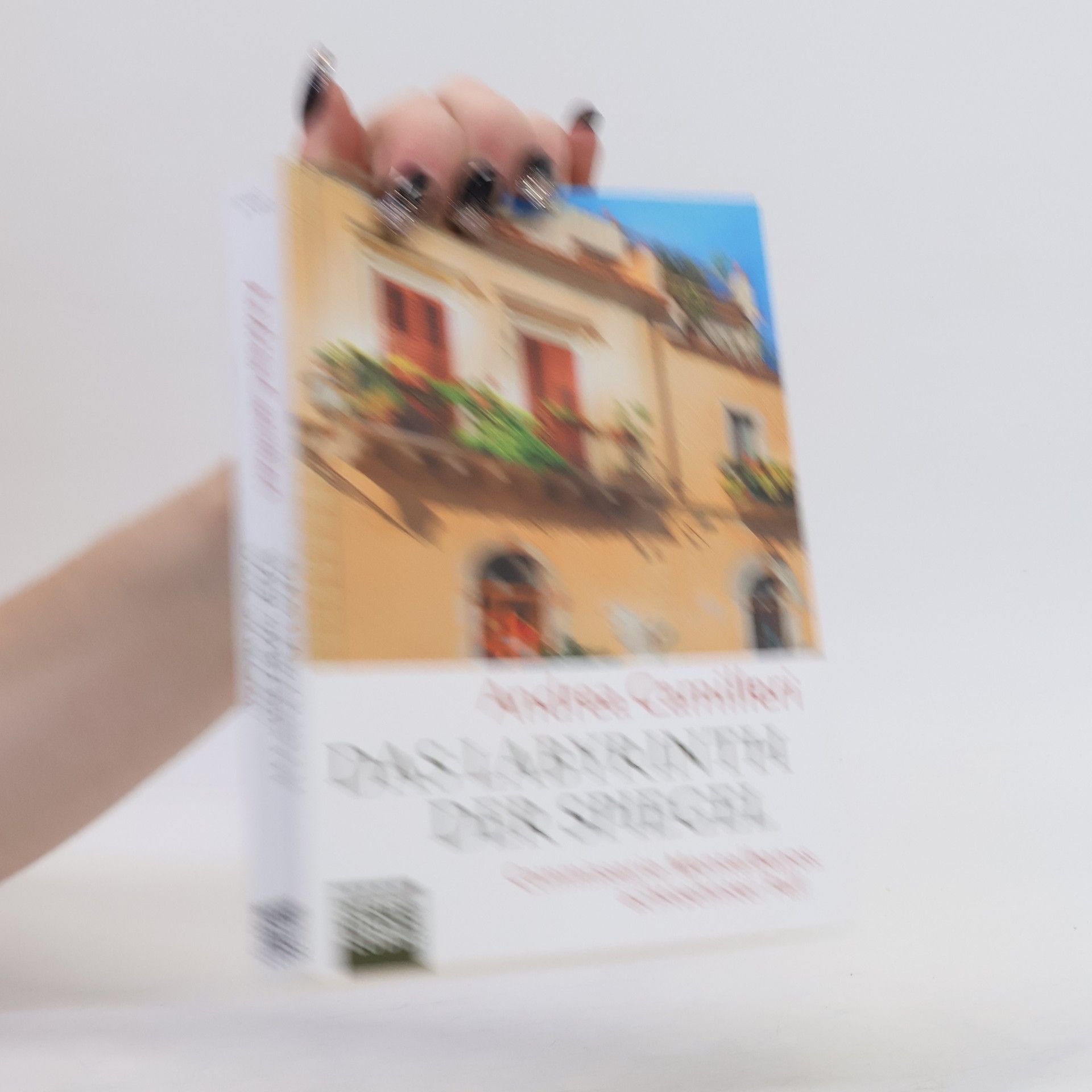 Andrea Camilleri Das Labyrinth der Spiegel