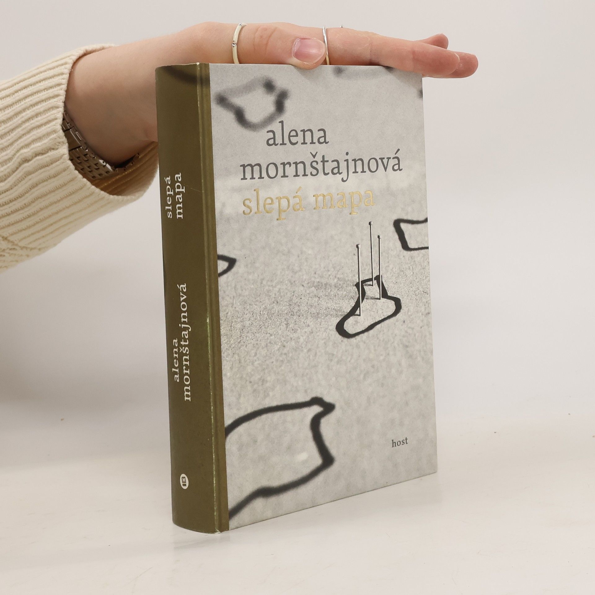 Alena Mornštajnová Slepá mapa