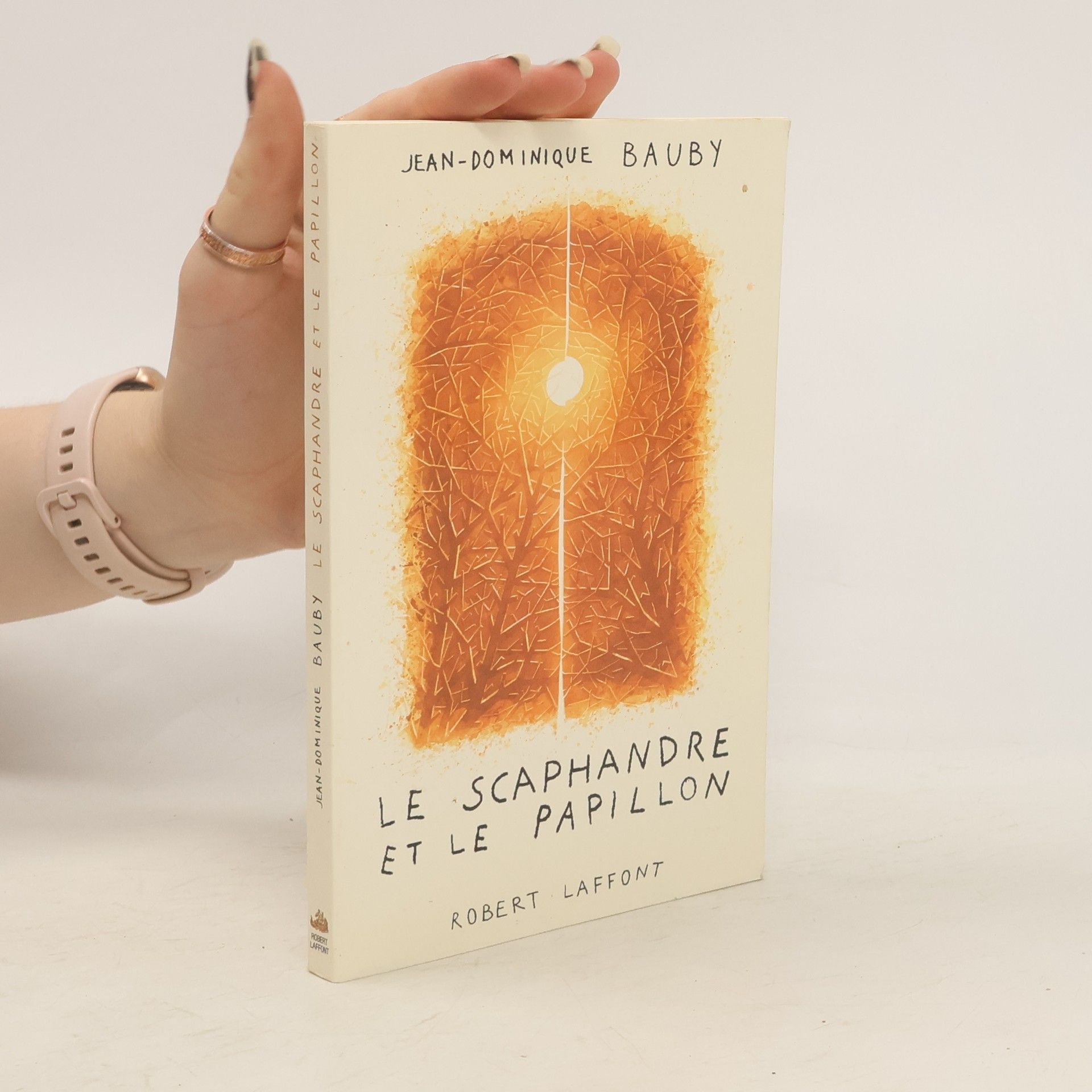 Jean-Dominique Bauby Le scaphandre et le papillon