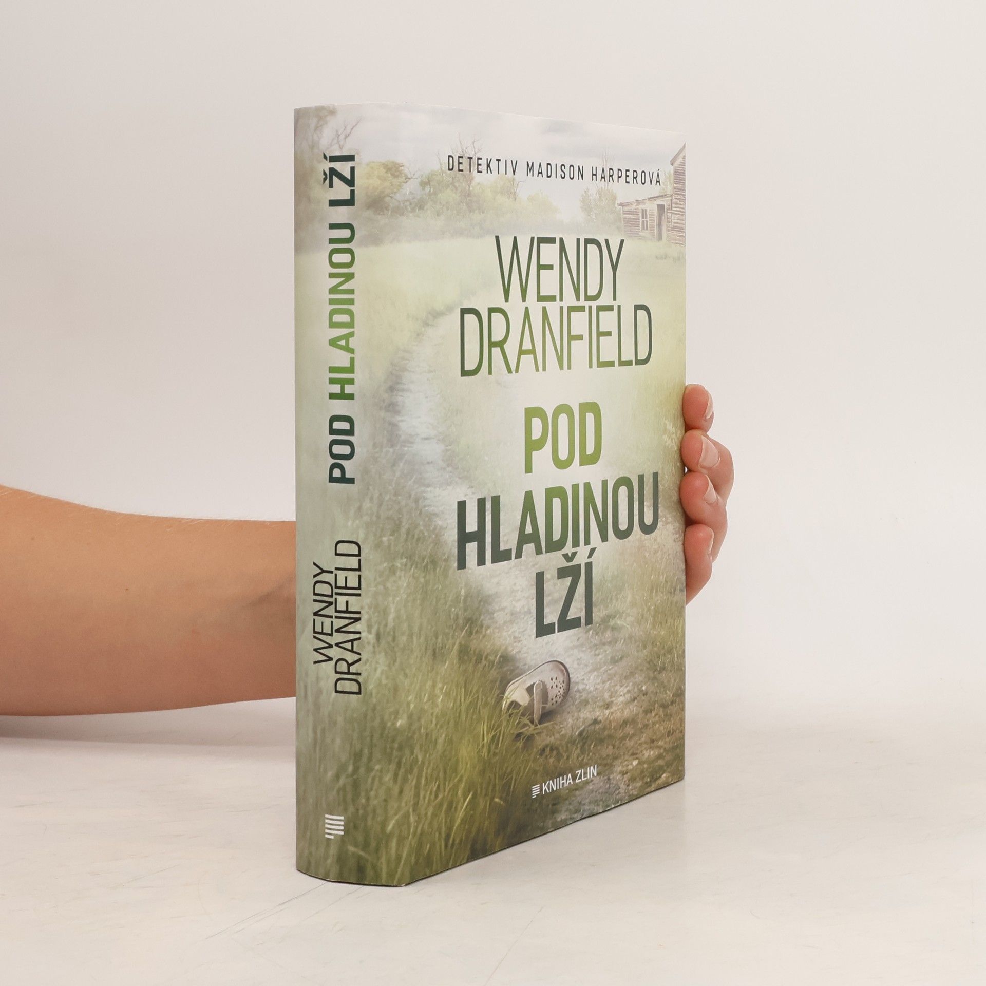 Wendy Dranfield Pod hladinou lží