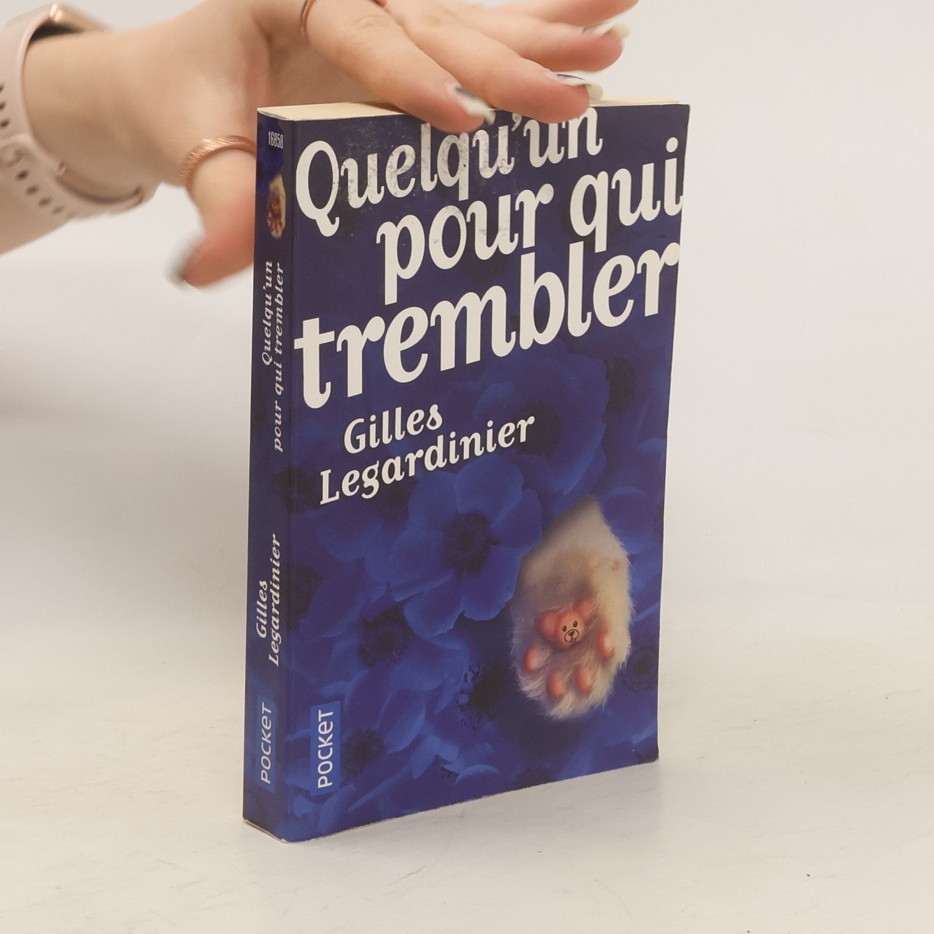 Gilles Legardinier Quelqu'un pour qui trembler