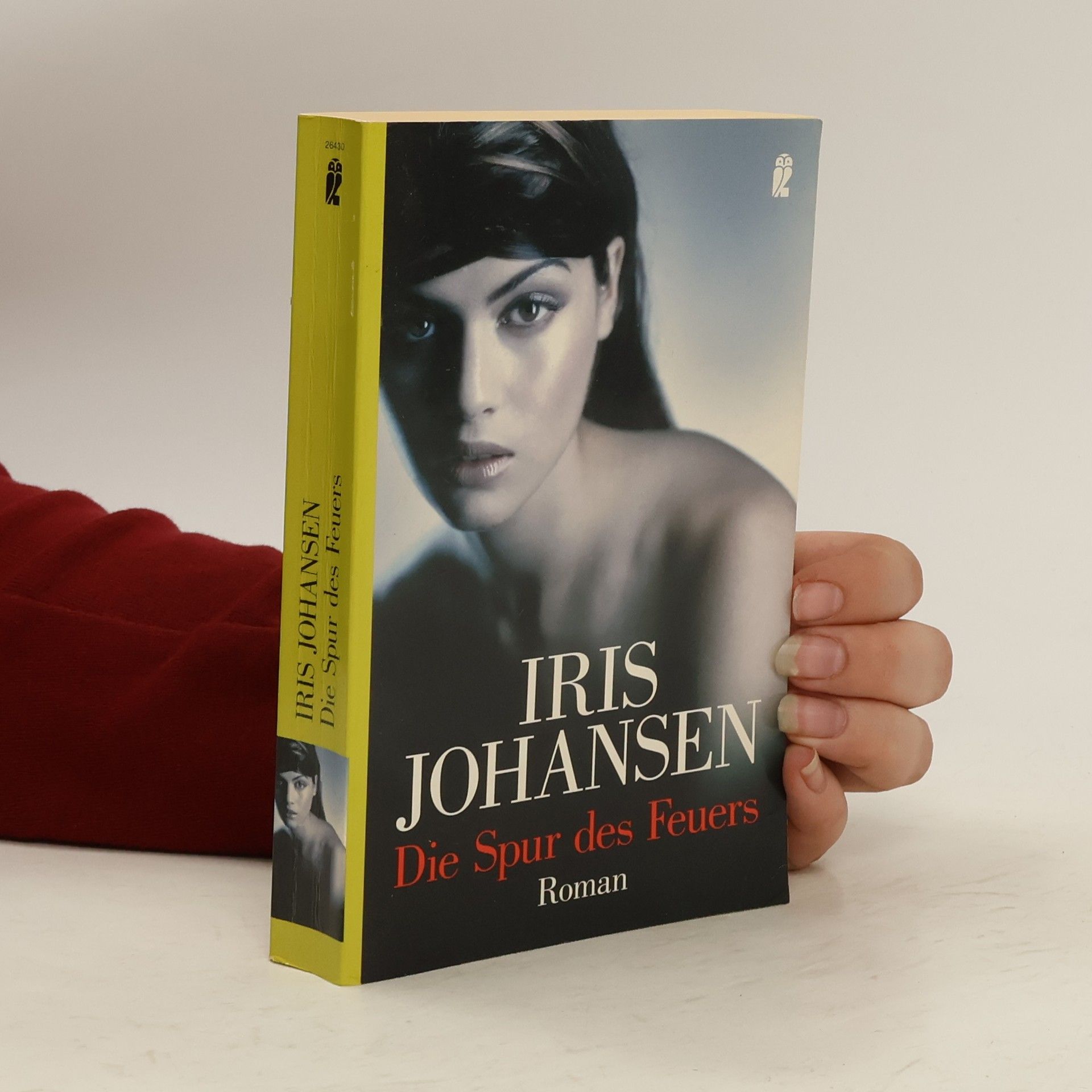 Iris Johansen Die Spur des Feuers