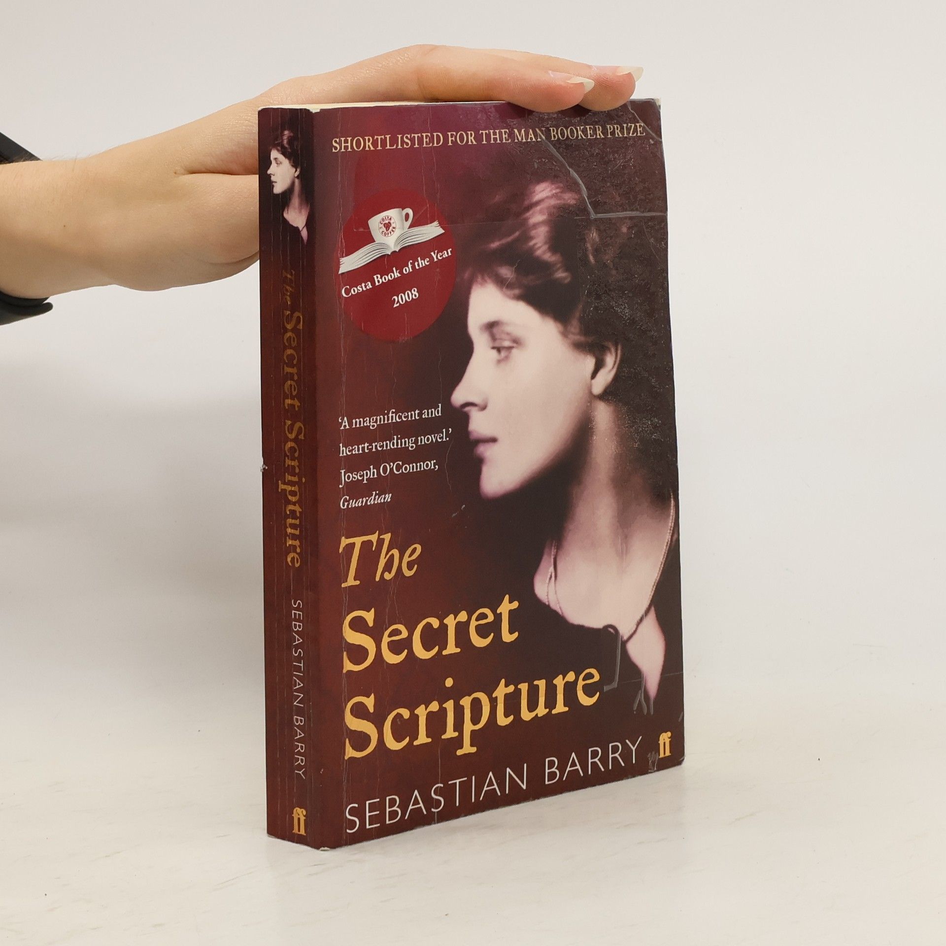 Sebastian Barry The secret scripture