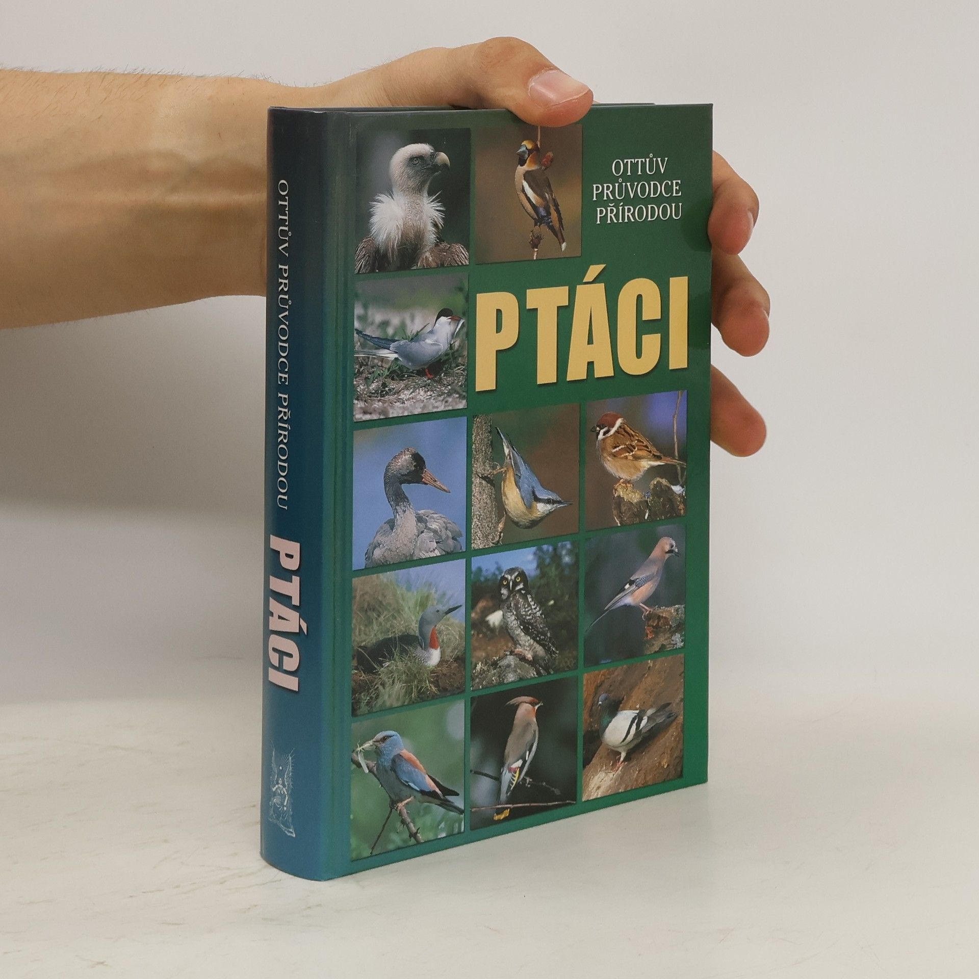 Detlef Singer Ptáci : Ottův průvodce přírodou
