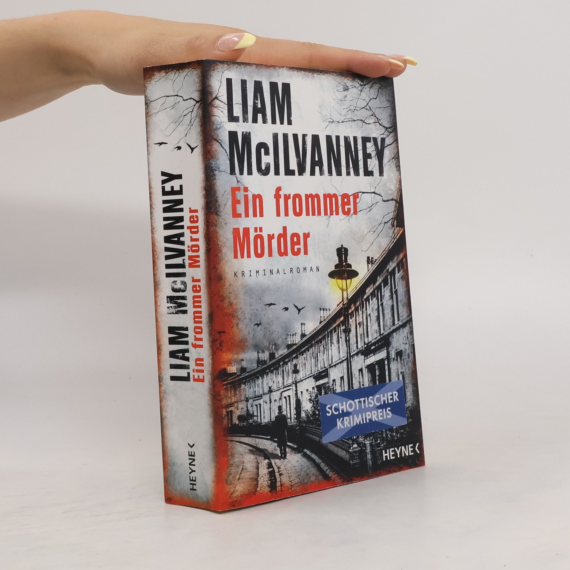 Liam McIlvanney Ein frommer Mörder