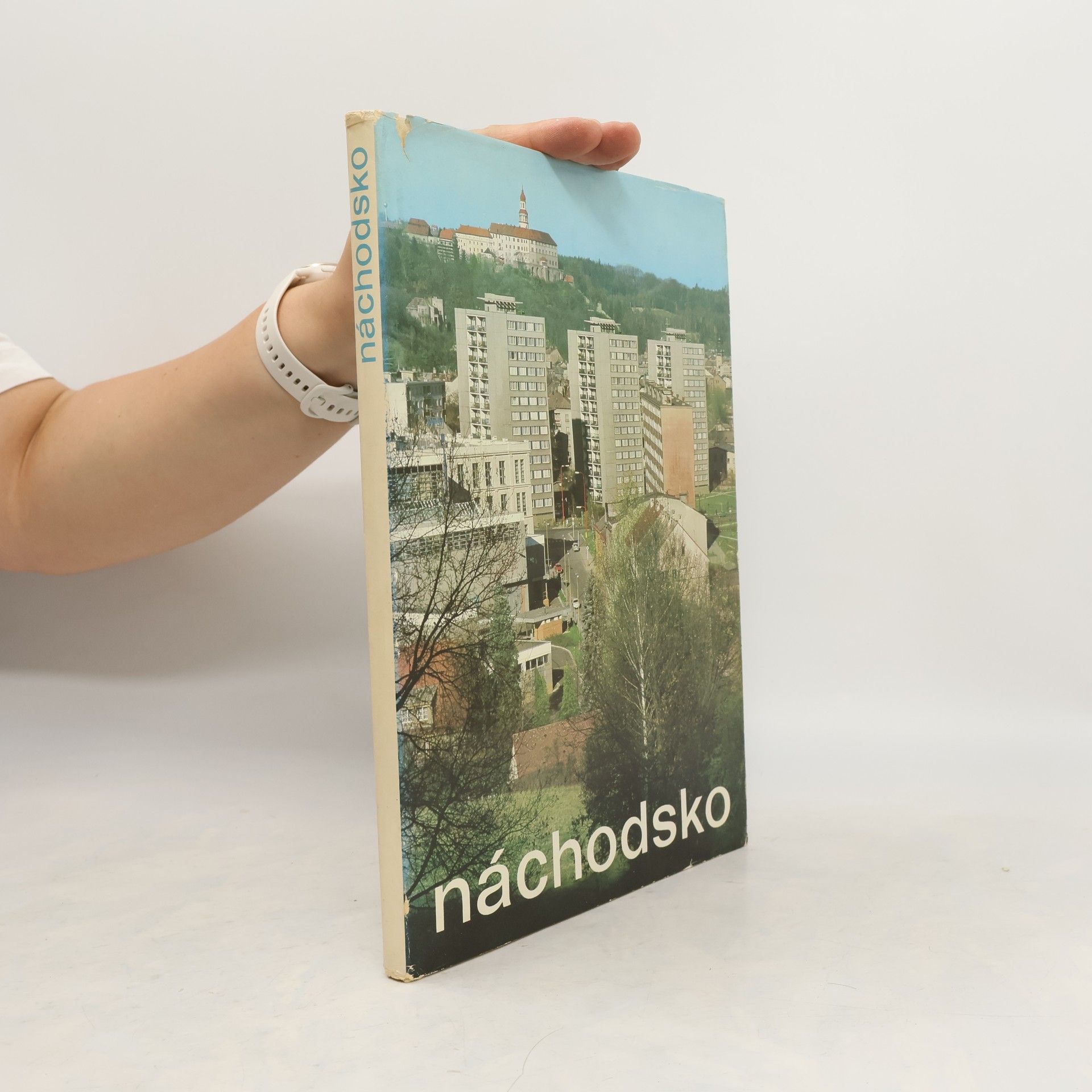 Ludvík Mühlstein Náchodsko