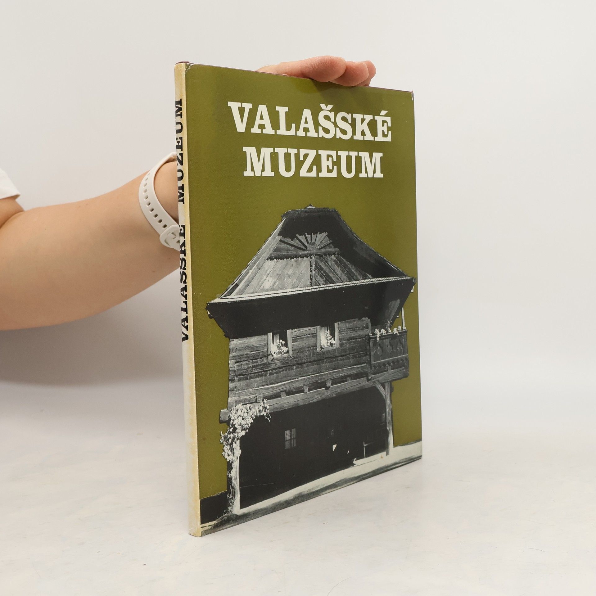 kolektiv Valašské muzeum