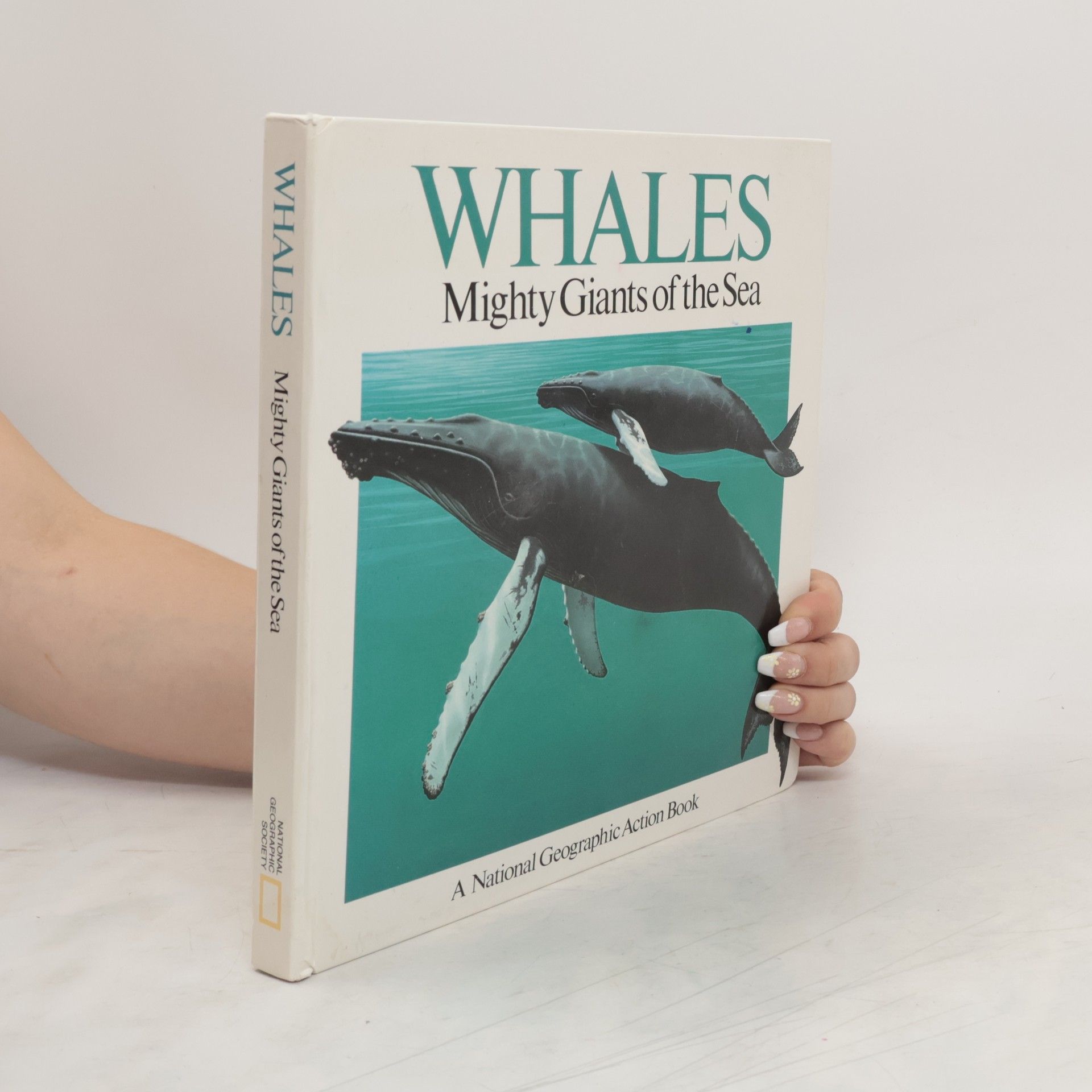 Ned Seidler Whales