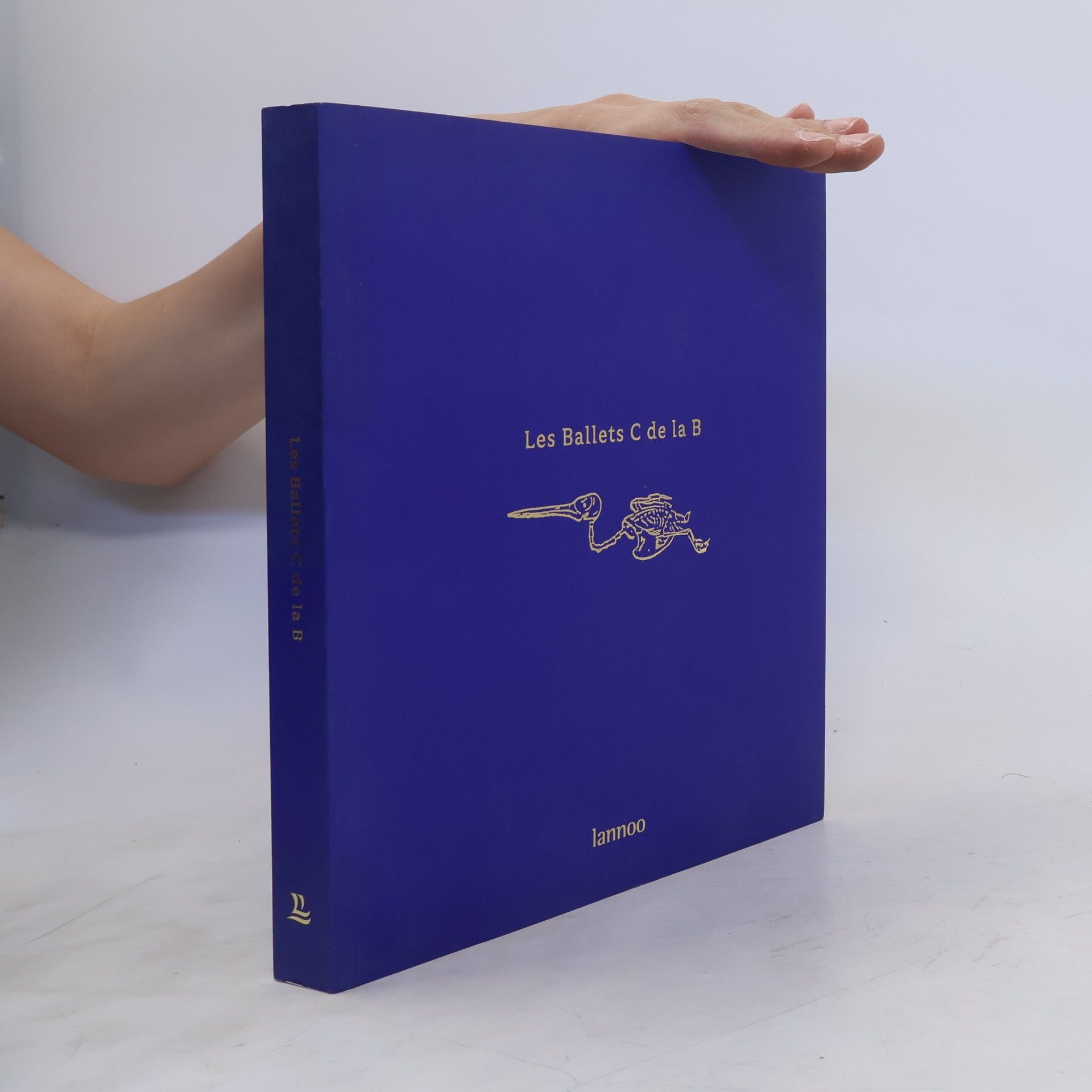 Alain Platel Les ballets C de la B