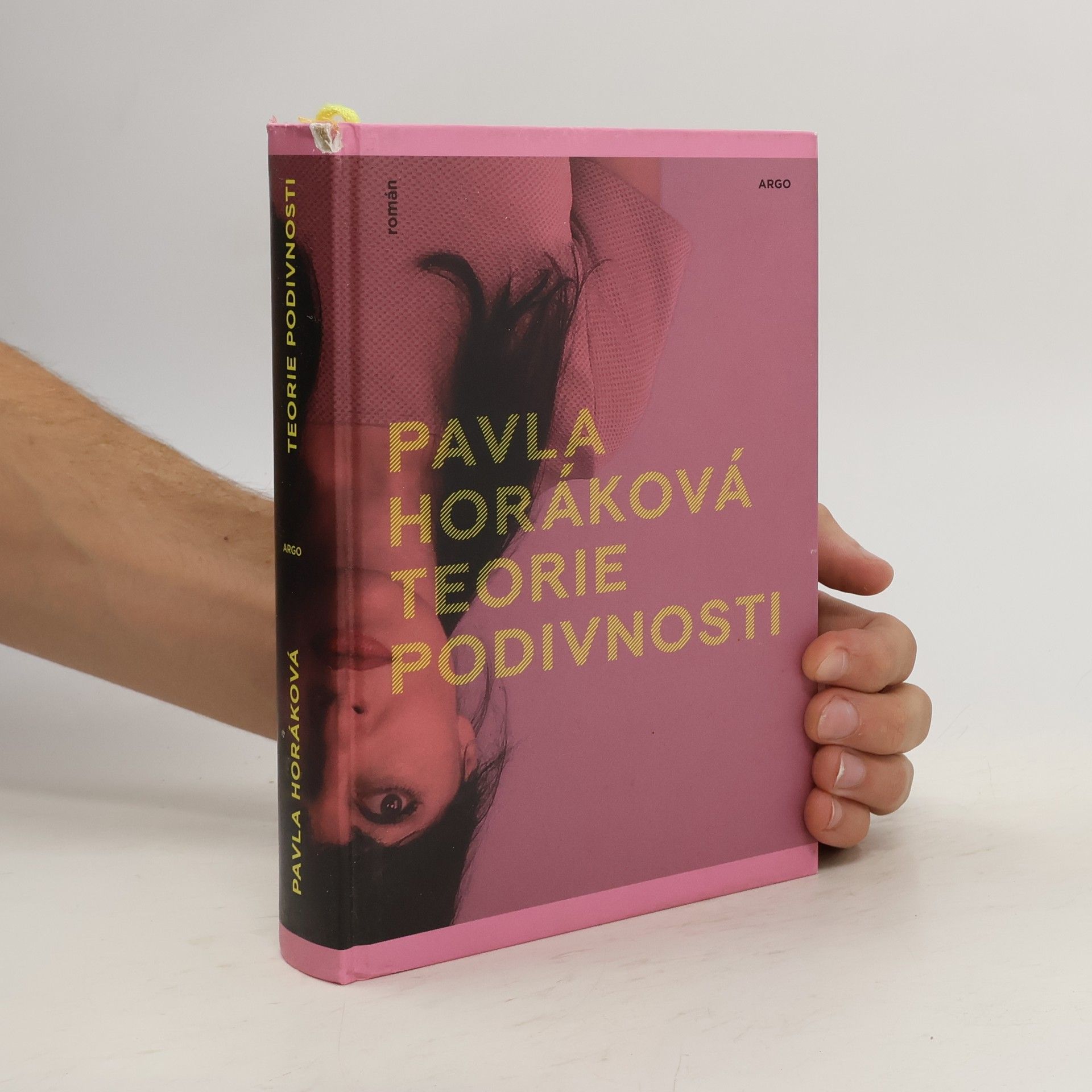Pavla Horáková Teorie podivnosti
