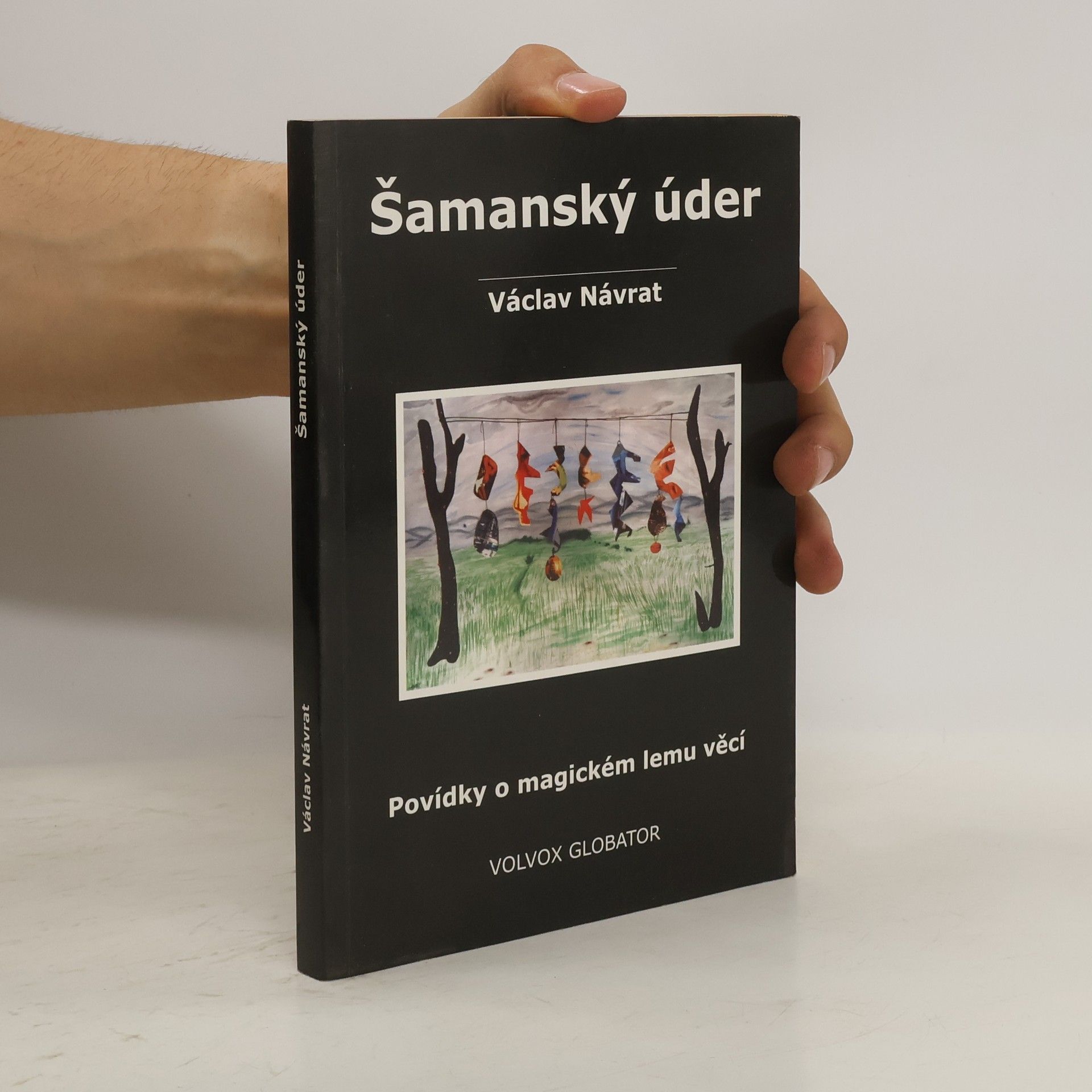 Václav Návrat Šamanský úder