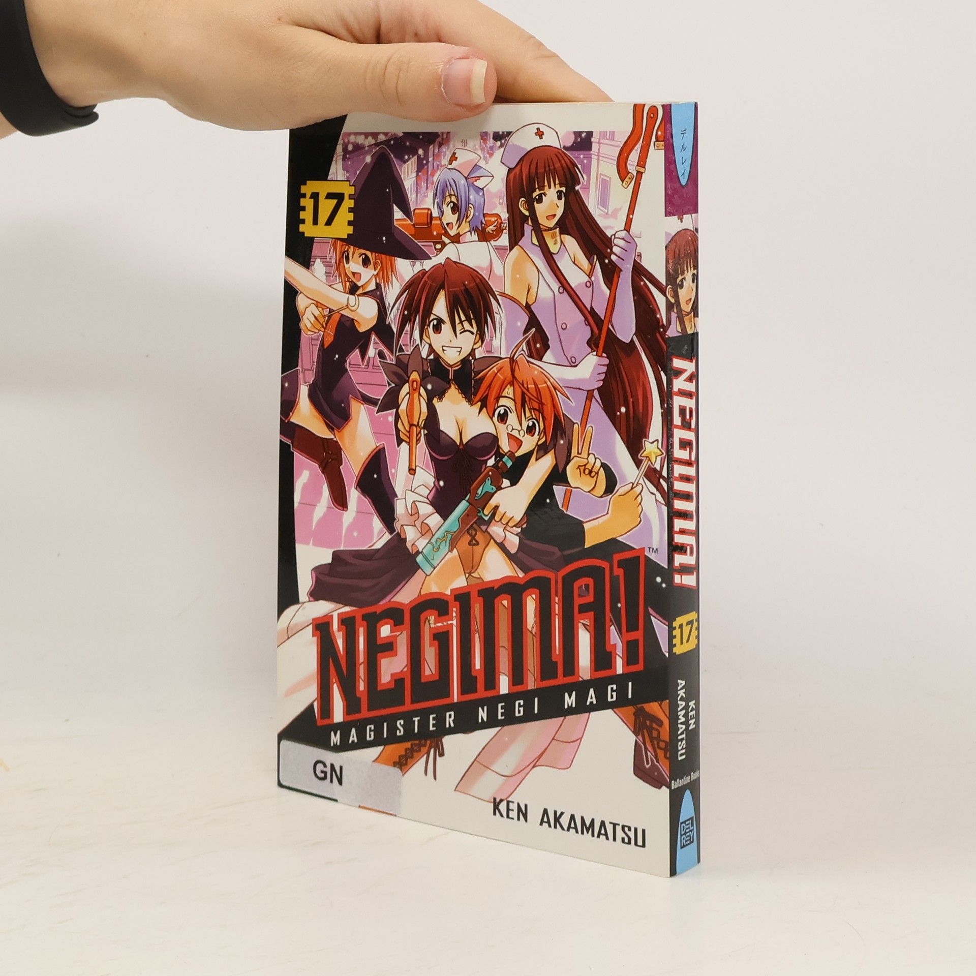 Ken Akamatsu Negima! 17