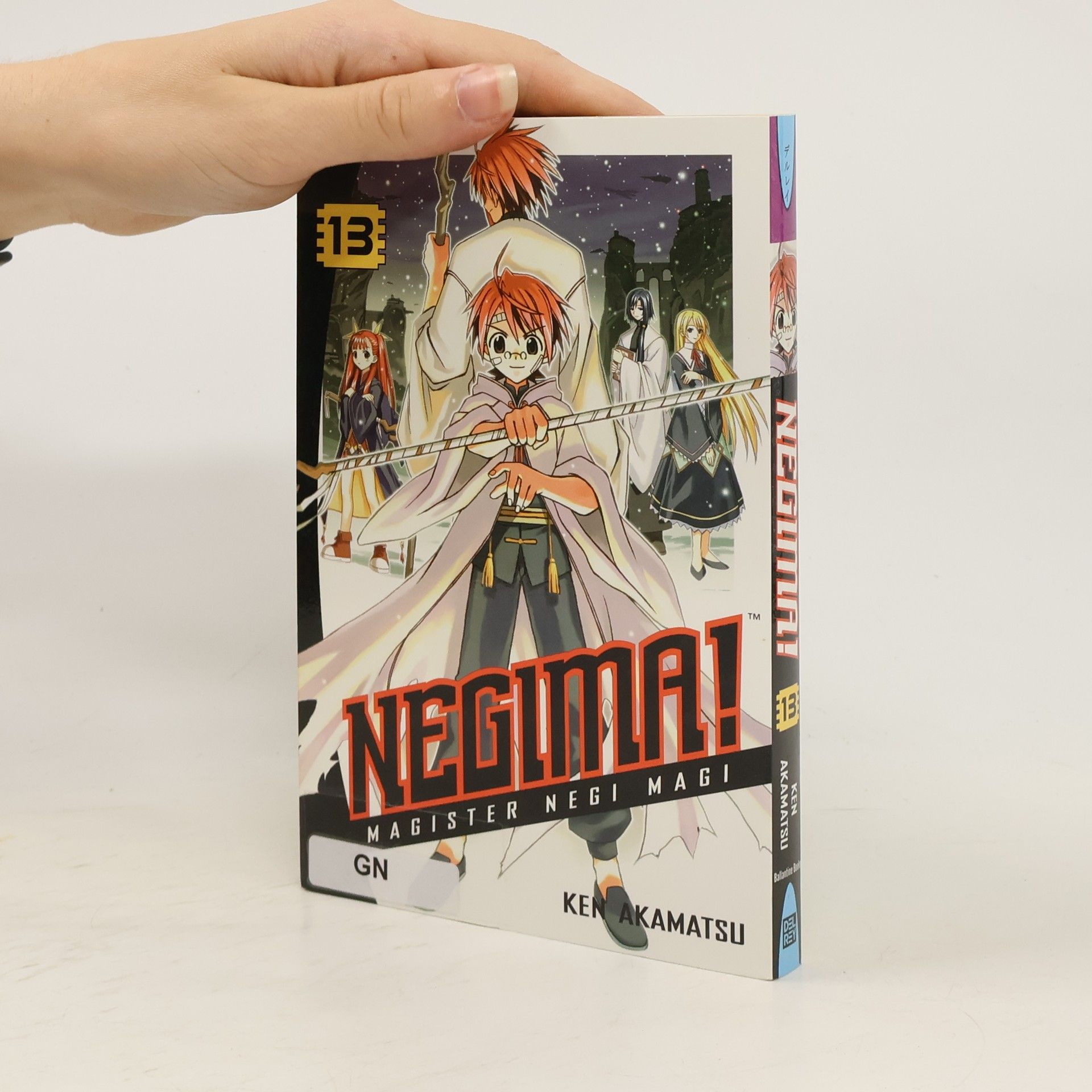 Ken Akamatsu Negima! 13