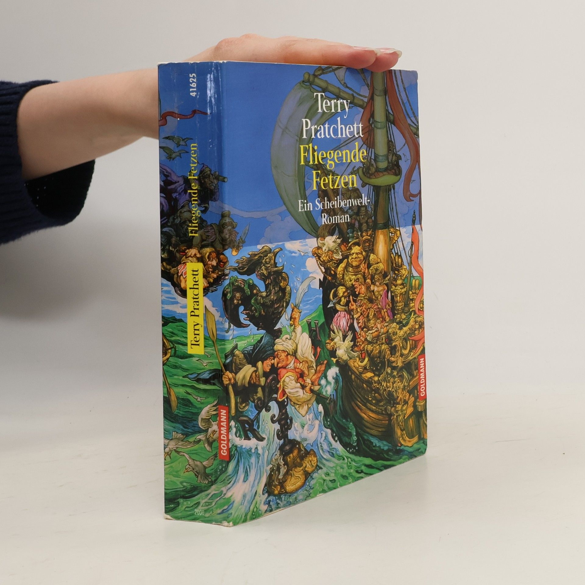 Terry Pratchett Fliegende Fetzen