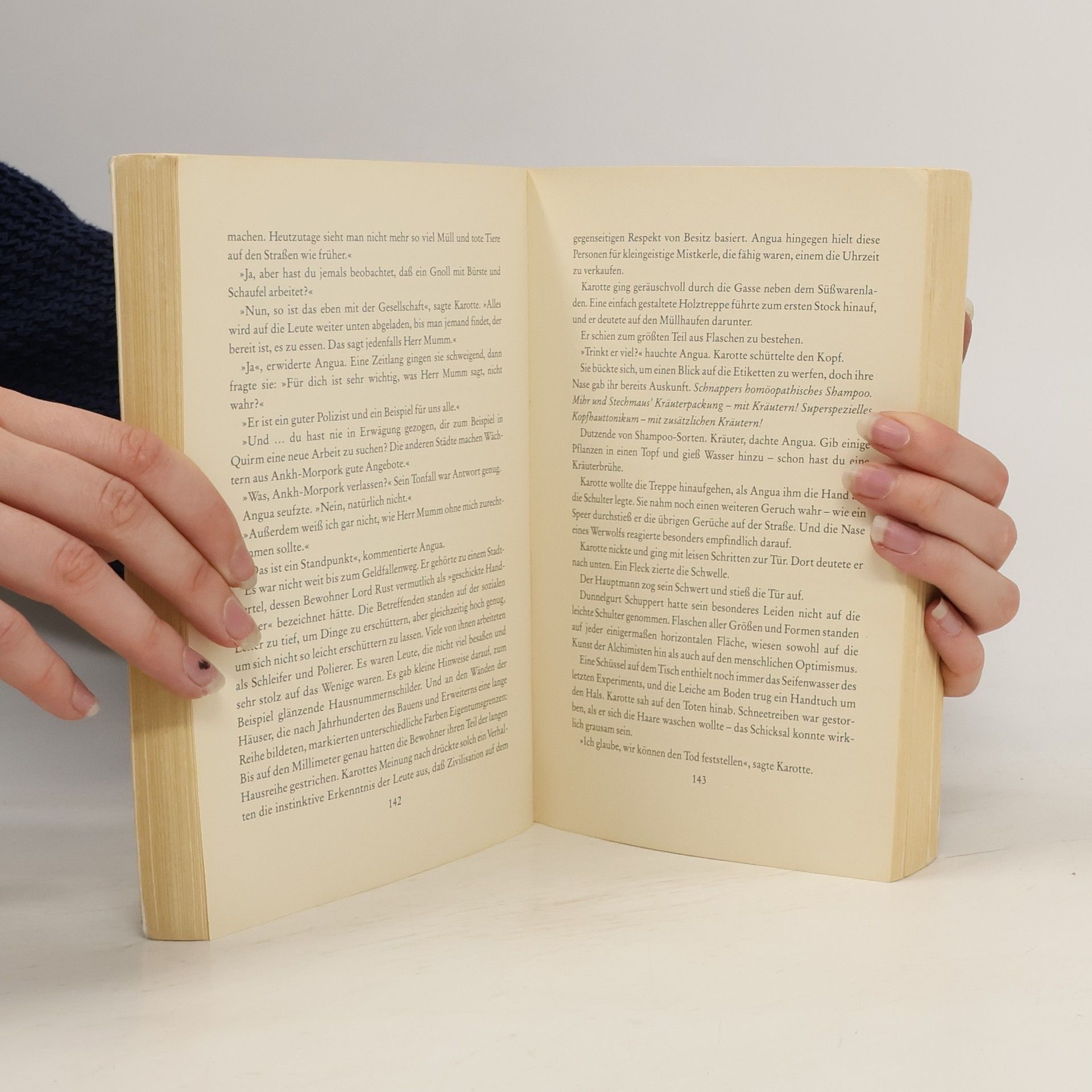 Terry Pratchett Fliegende Fetzen