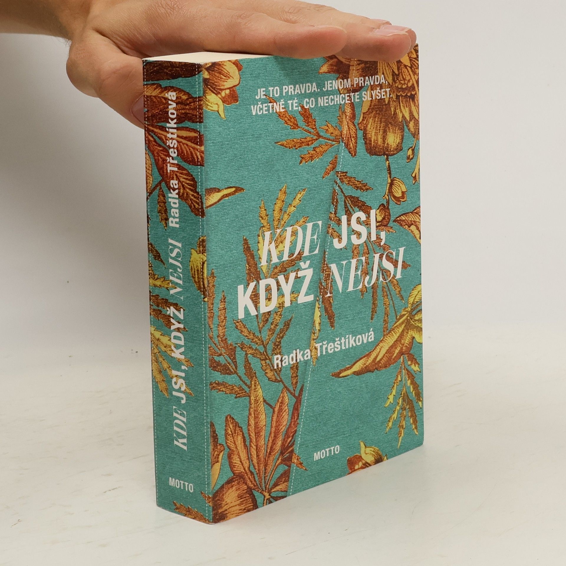 Radka Třeštíková Kde jsi, když nejsi