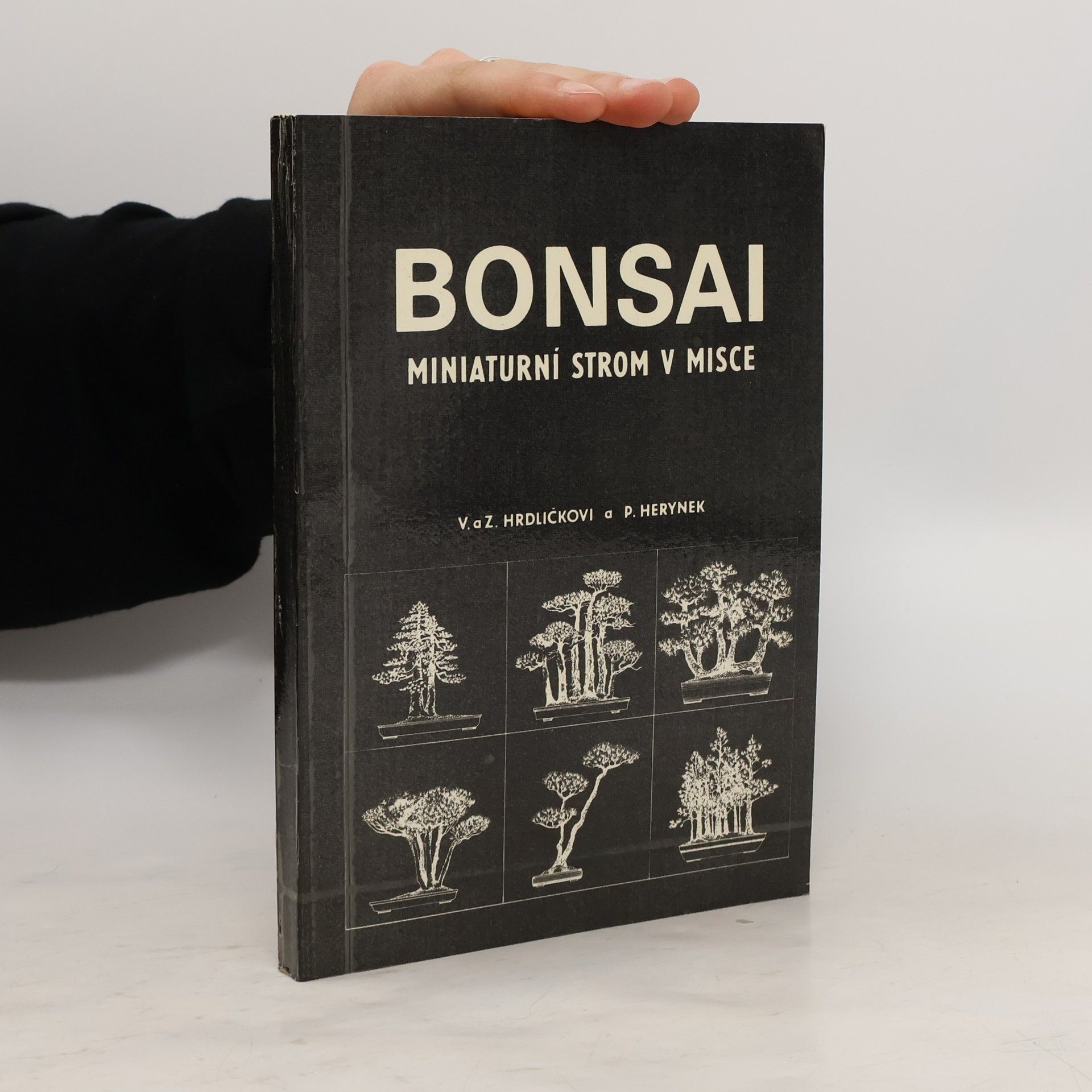Zdeněk Hrdlička Bonsai. Miniaturní strom v misce